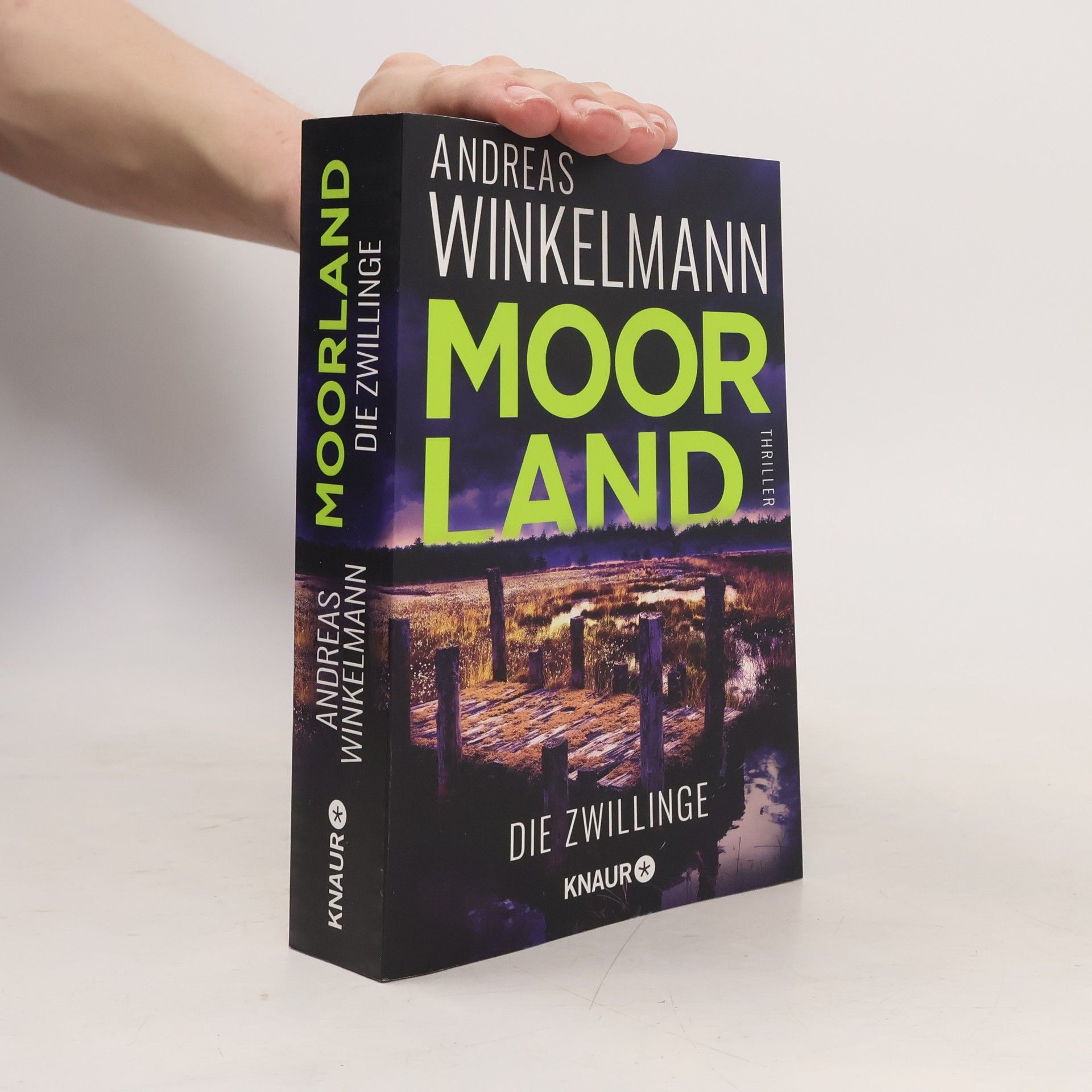 Hendrik Winter Moorland. Die Zwillinge