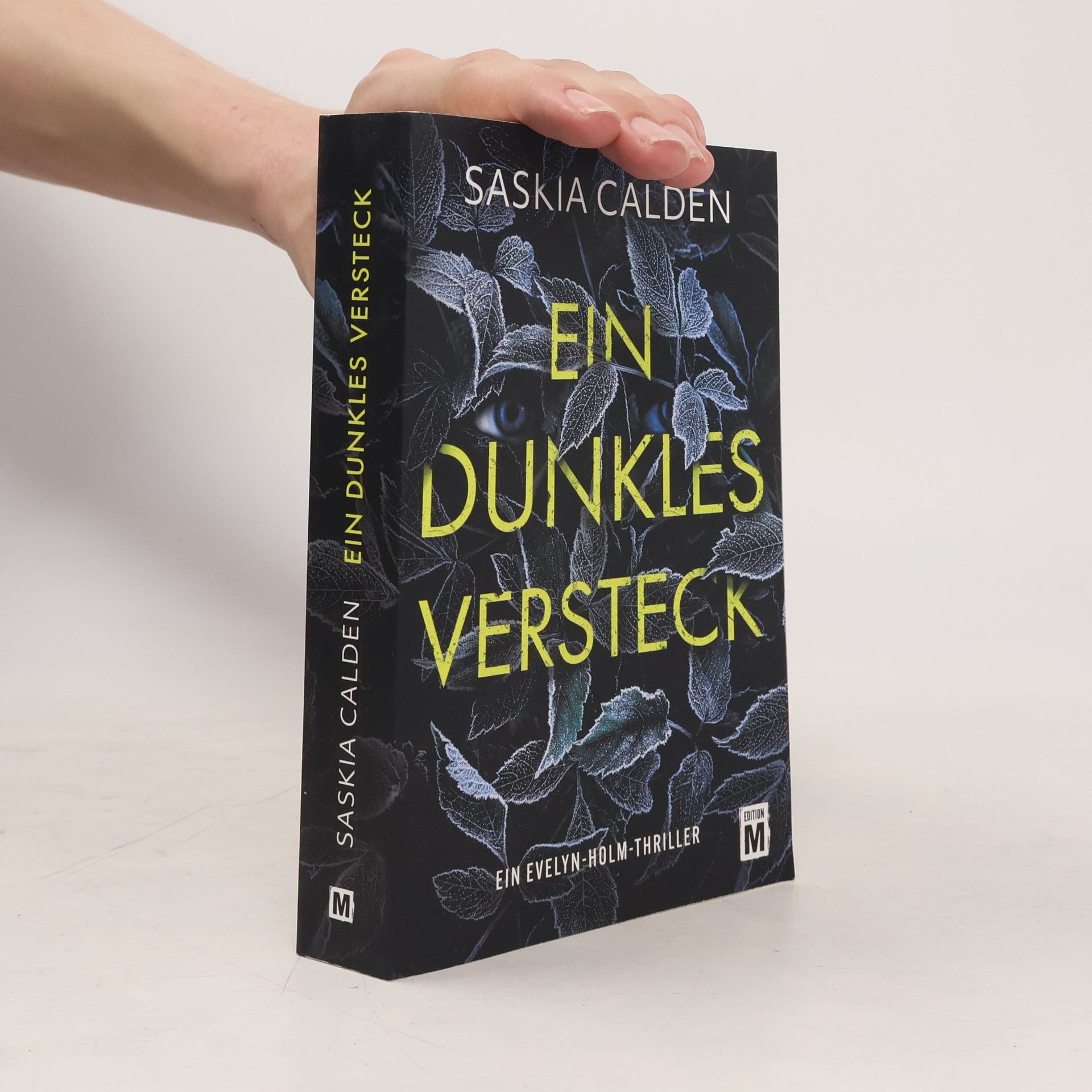 Saskia Calden Ein Evelyn-Holm-Thriller - 4: Ein dunkles Versteck