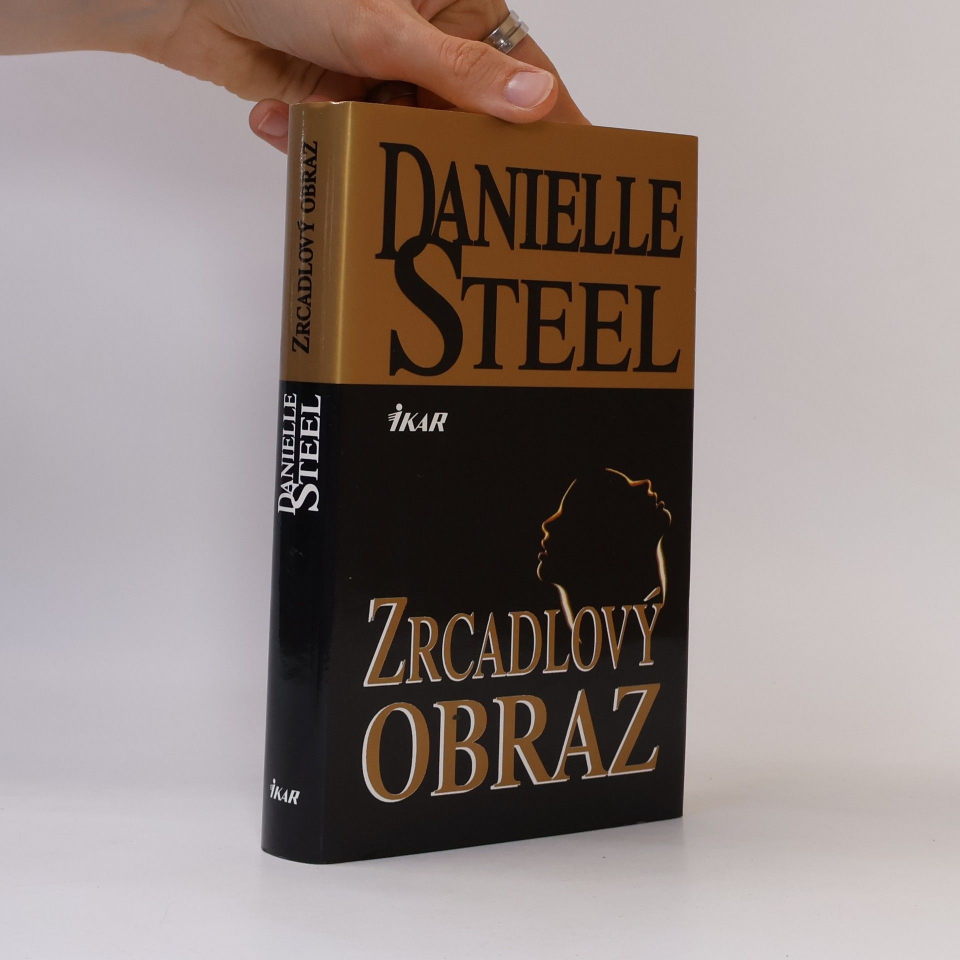 Danielle Steel Zrcadlový obraz