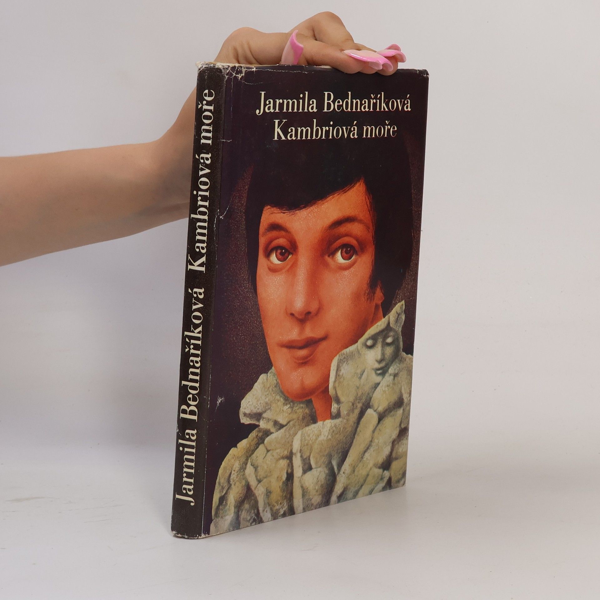 Jarmila Bednaříková Kambriová moře