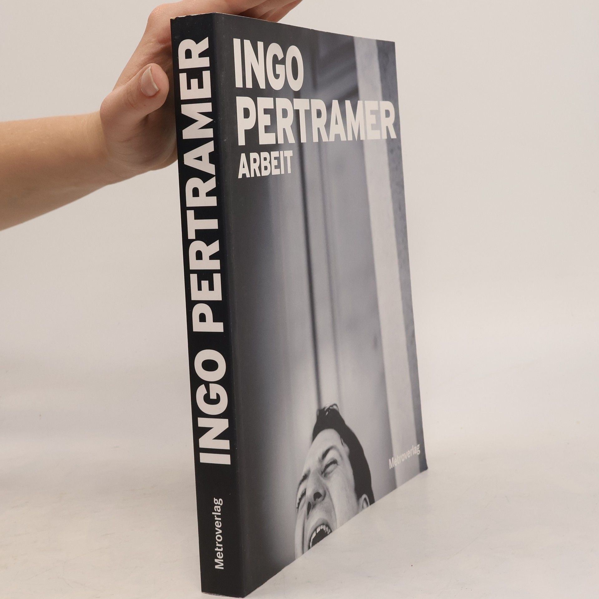 Ingo Pertramer Arbeit