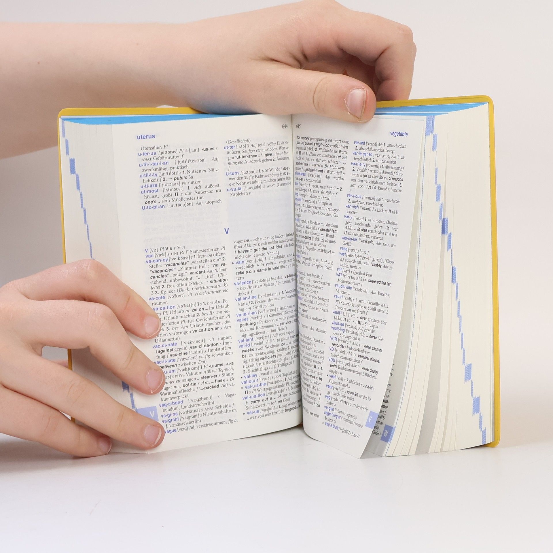 Helmut Willmann Langenscheidts Taschenwörterbuch Englisch