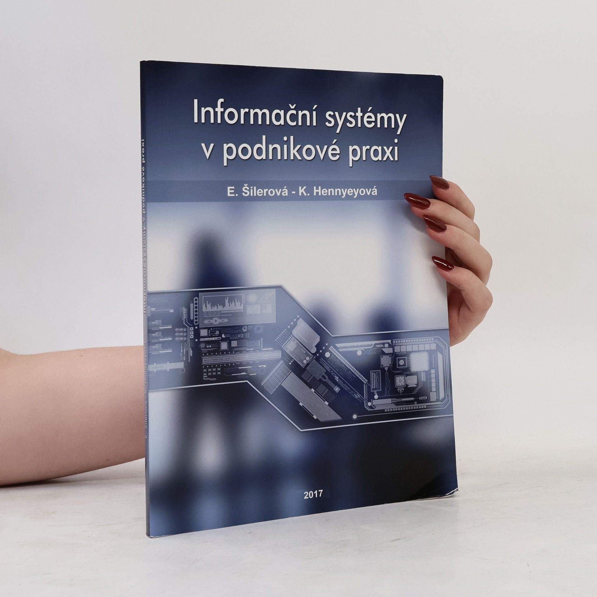 Informační systémy v podnikové praxi