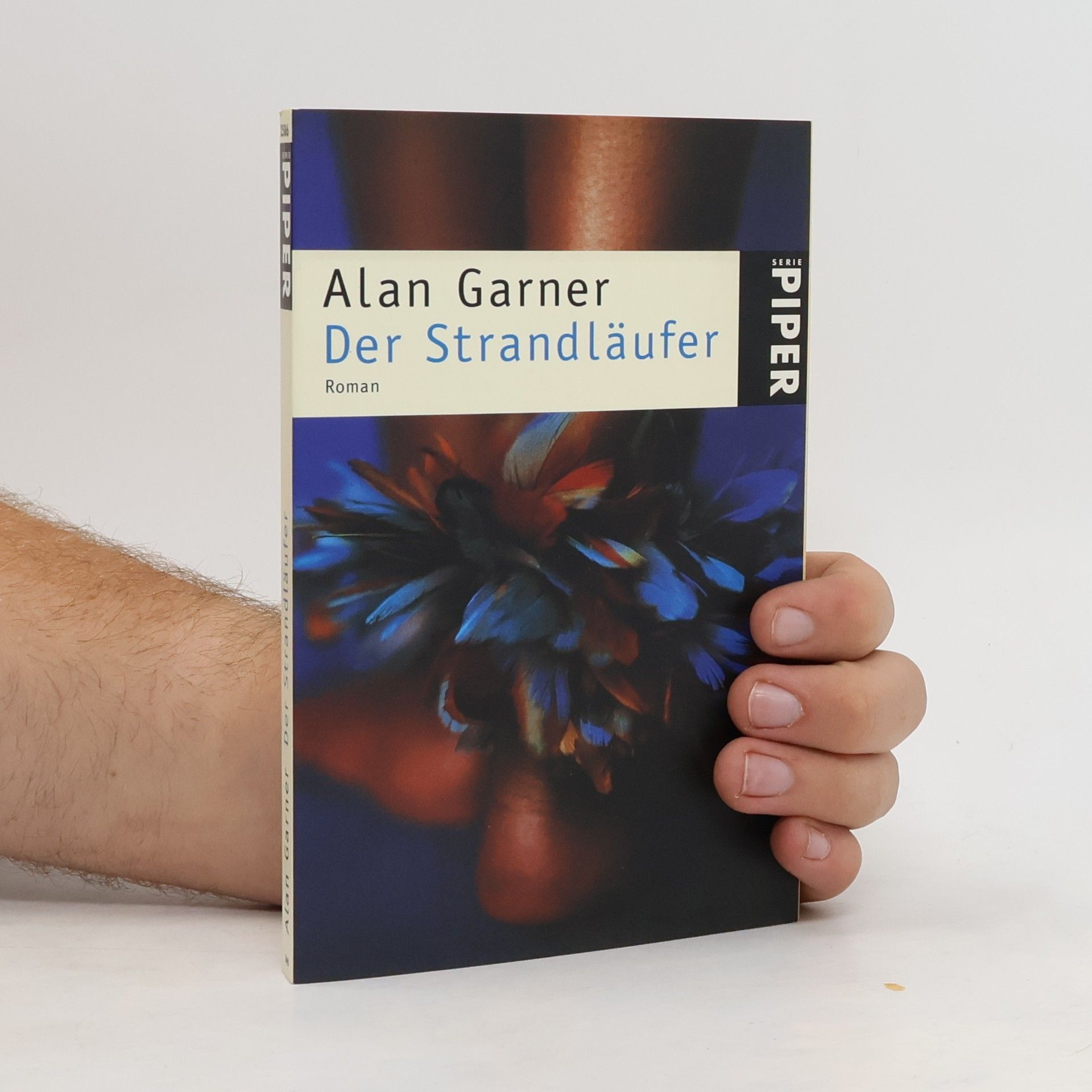 Alan Garner Der Strandläufer