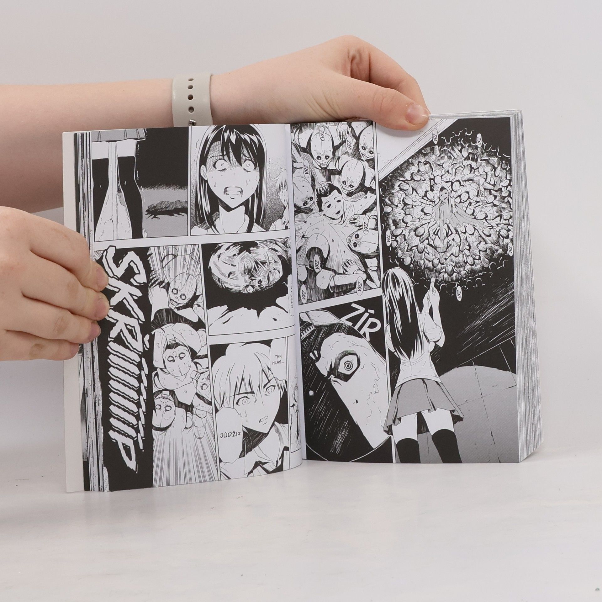 Haruto Ryo Zvrácená
