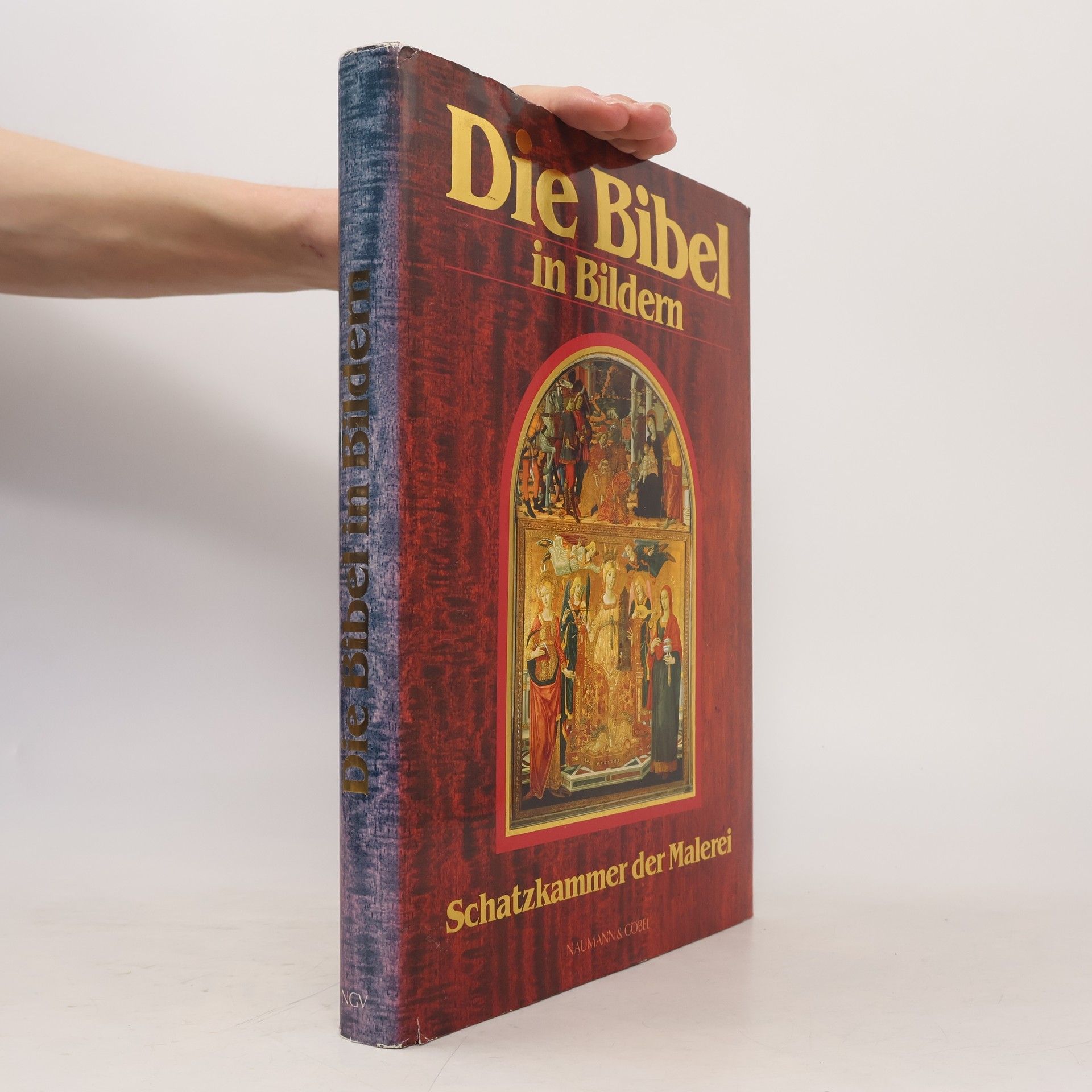 Autorenkollektiv Die Bibel in Bildern. Schatzkammer der Malerei