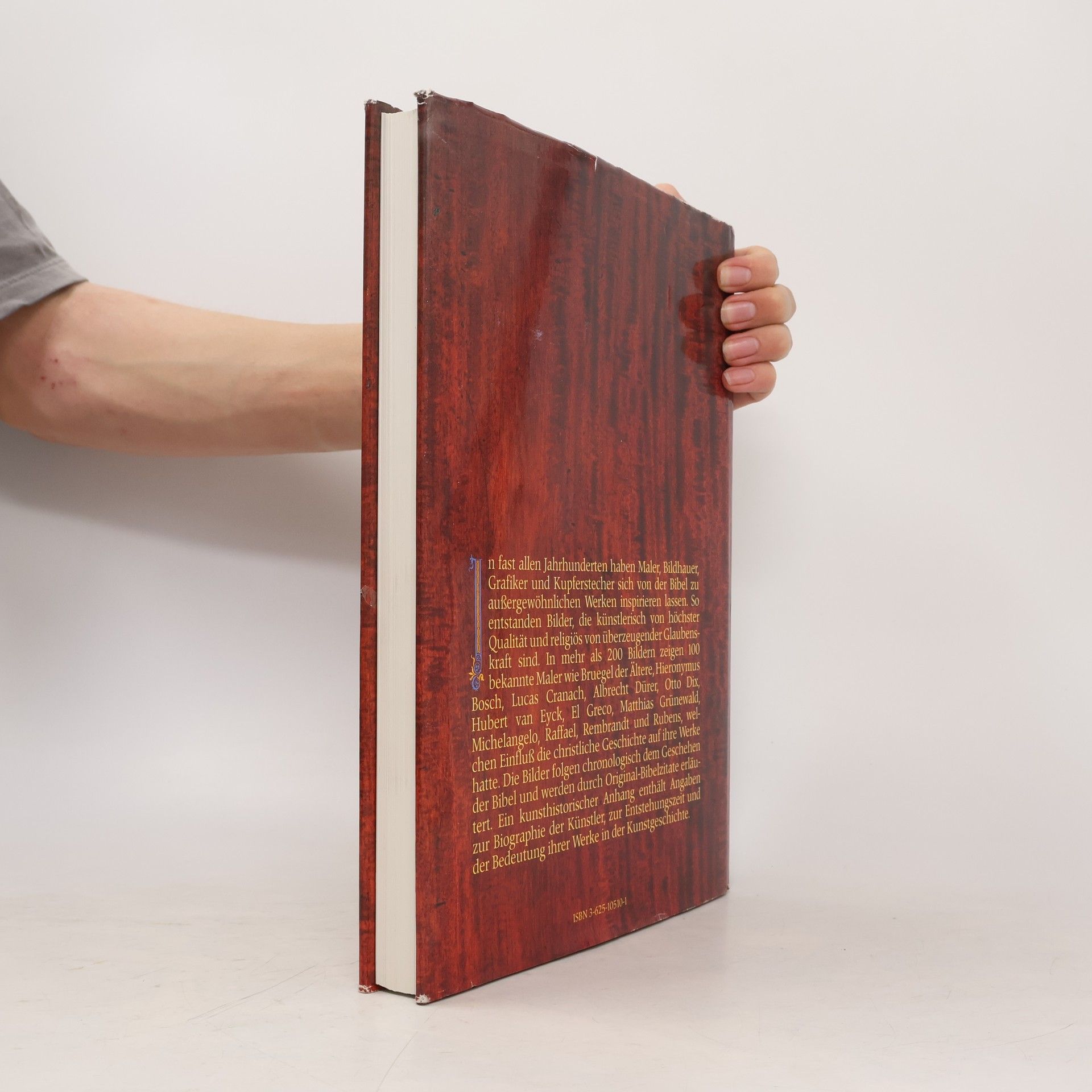Autores varios Die Bibel in Bildern. Schatzkammer der Malerei