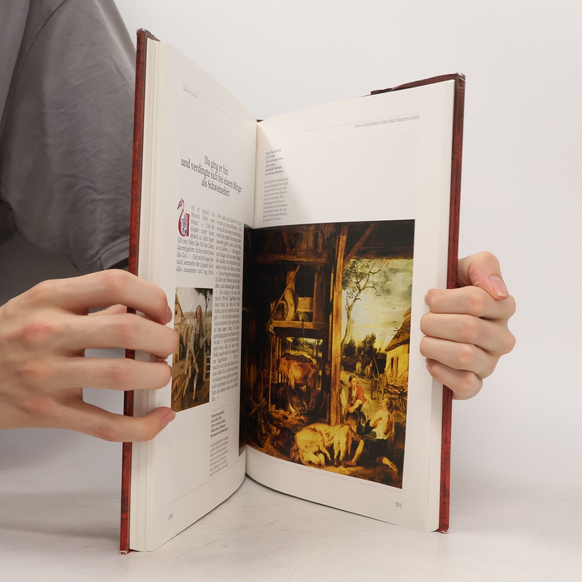 Autores varios Die Bibel in Bildern. Schatzkammer der Malerei