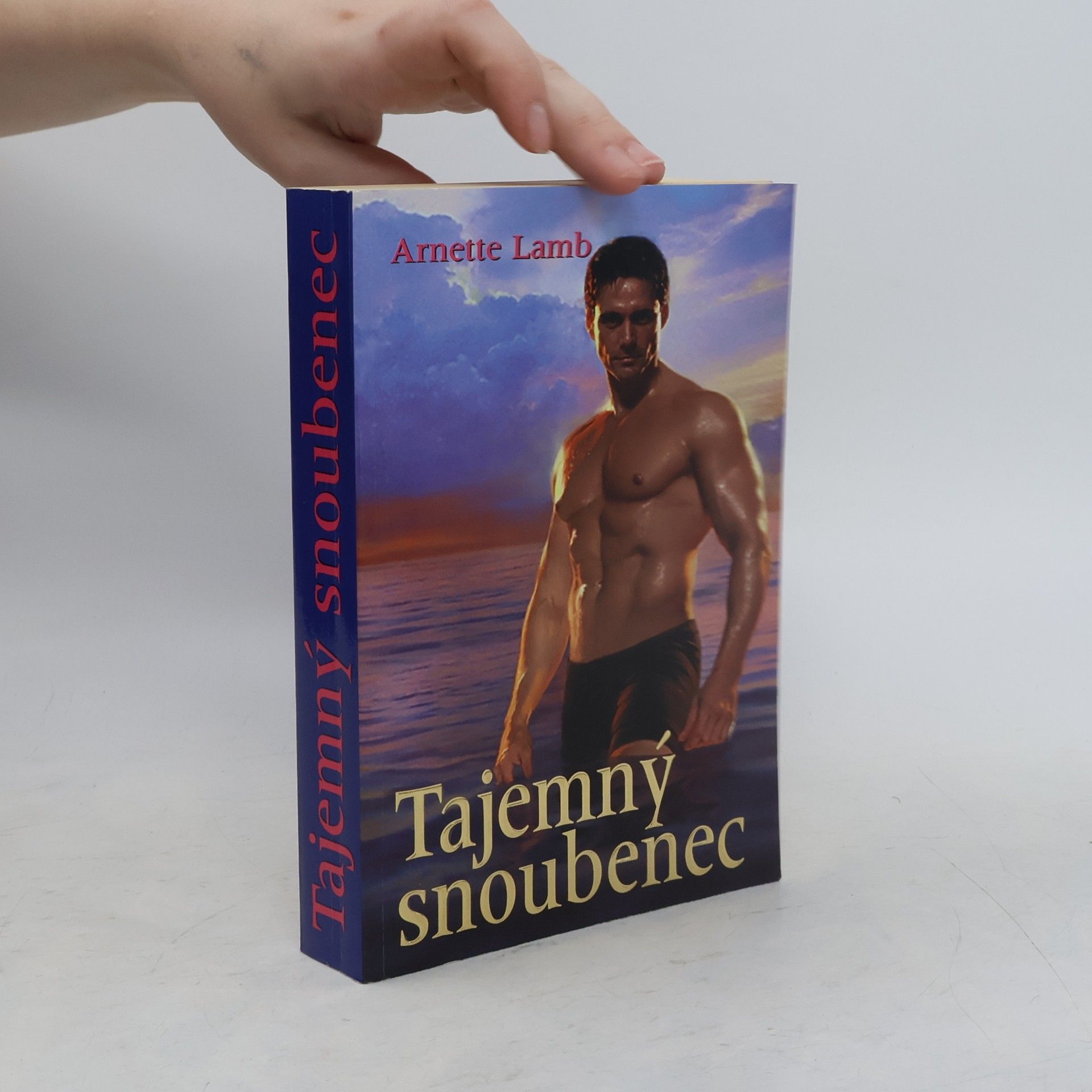 Arnette Lamb Tajemný snoubenec