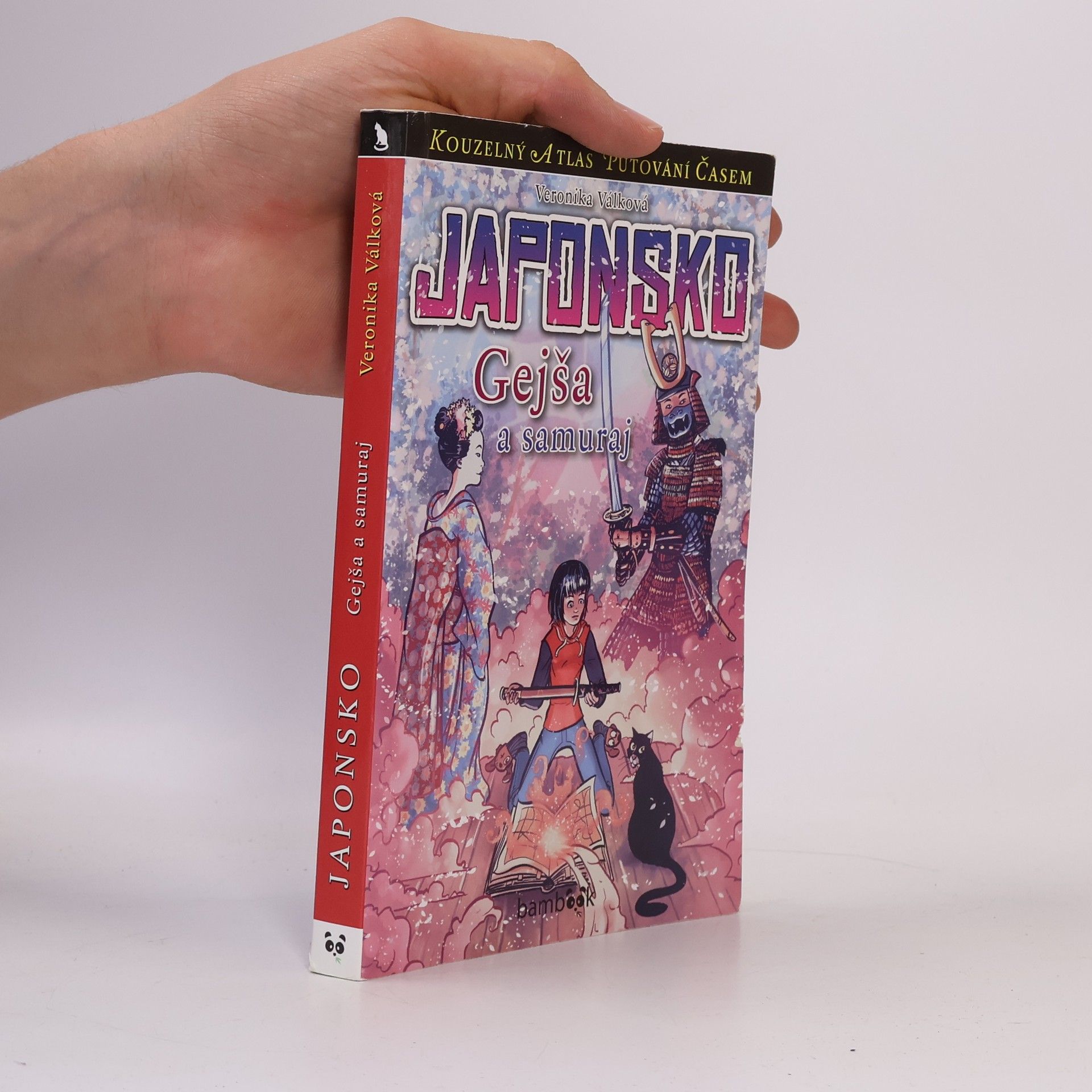 Japonsko : gejša a samuraj
