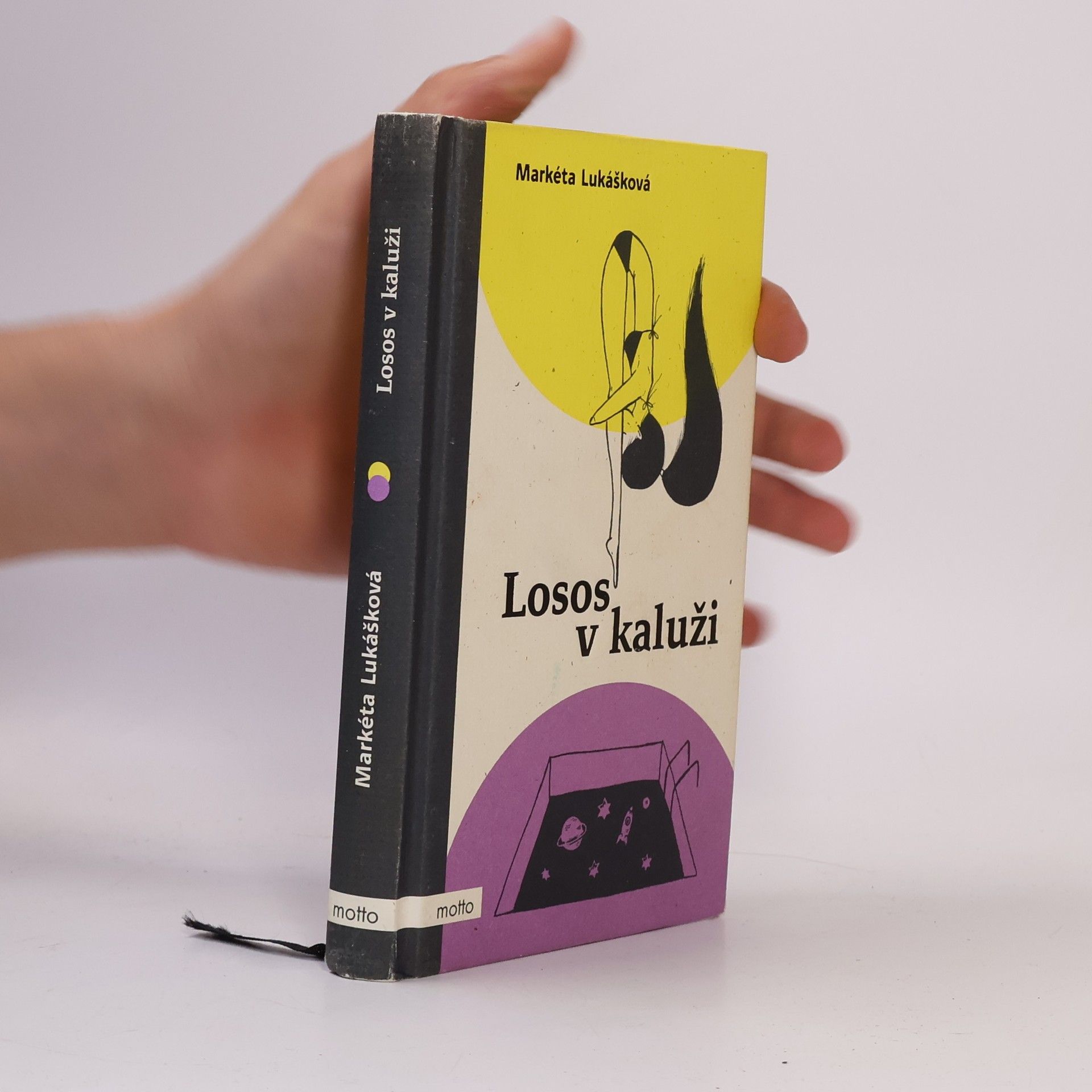 Markéta Lukášková Losos v kaluži