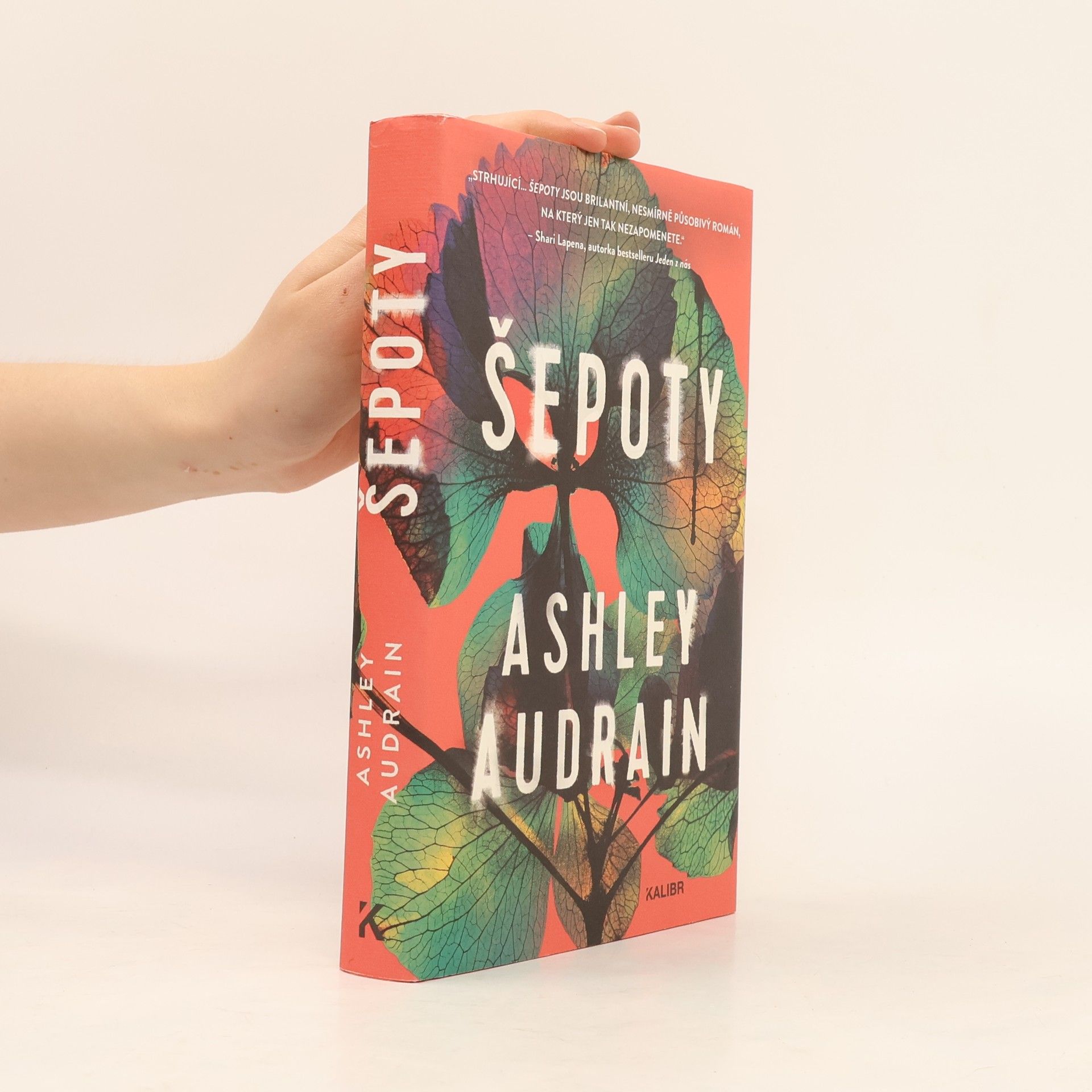 Ashley Audrain Šepoty