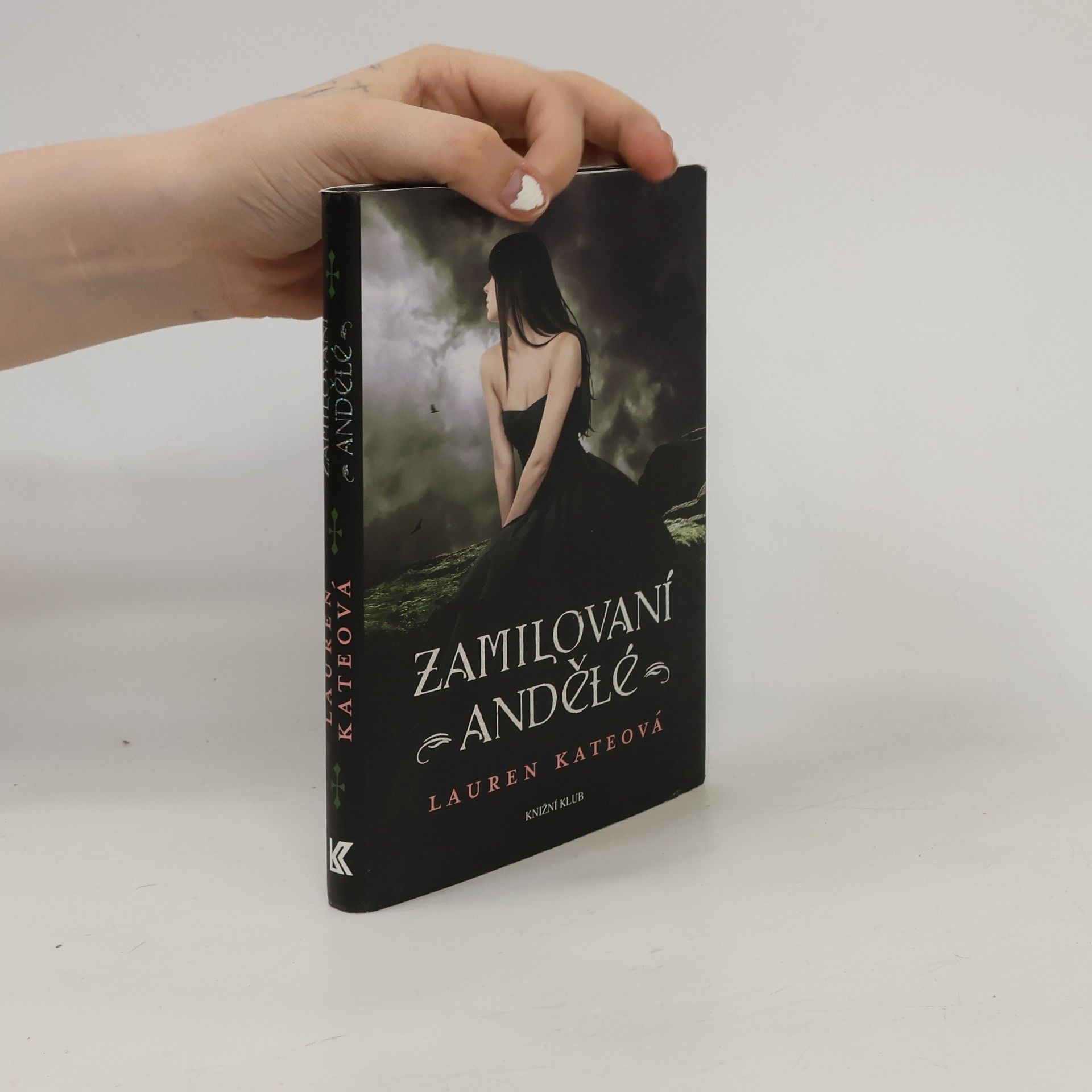 Lauren Kate Zamilovaní andělé
