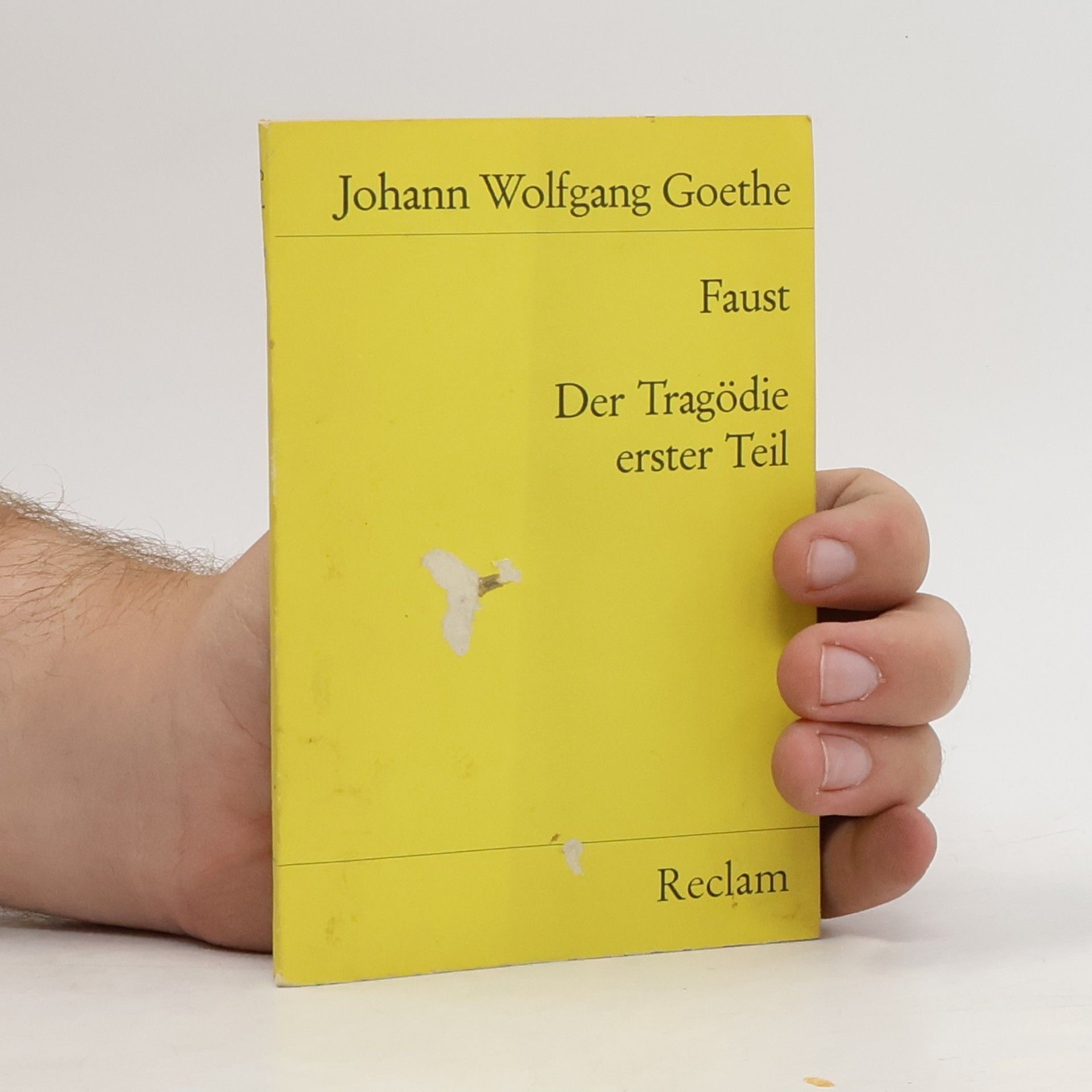 Johann Wolfgang von Goethe Faust : der Tragödie Erster teil