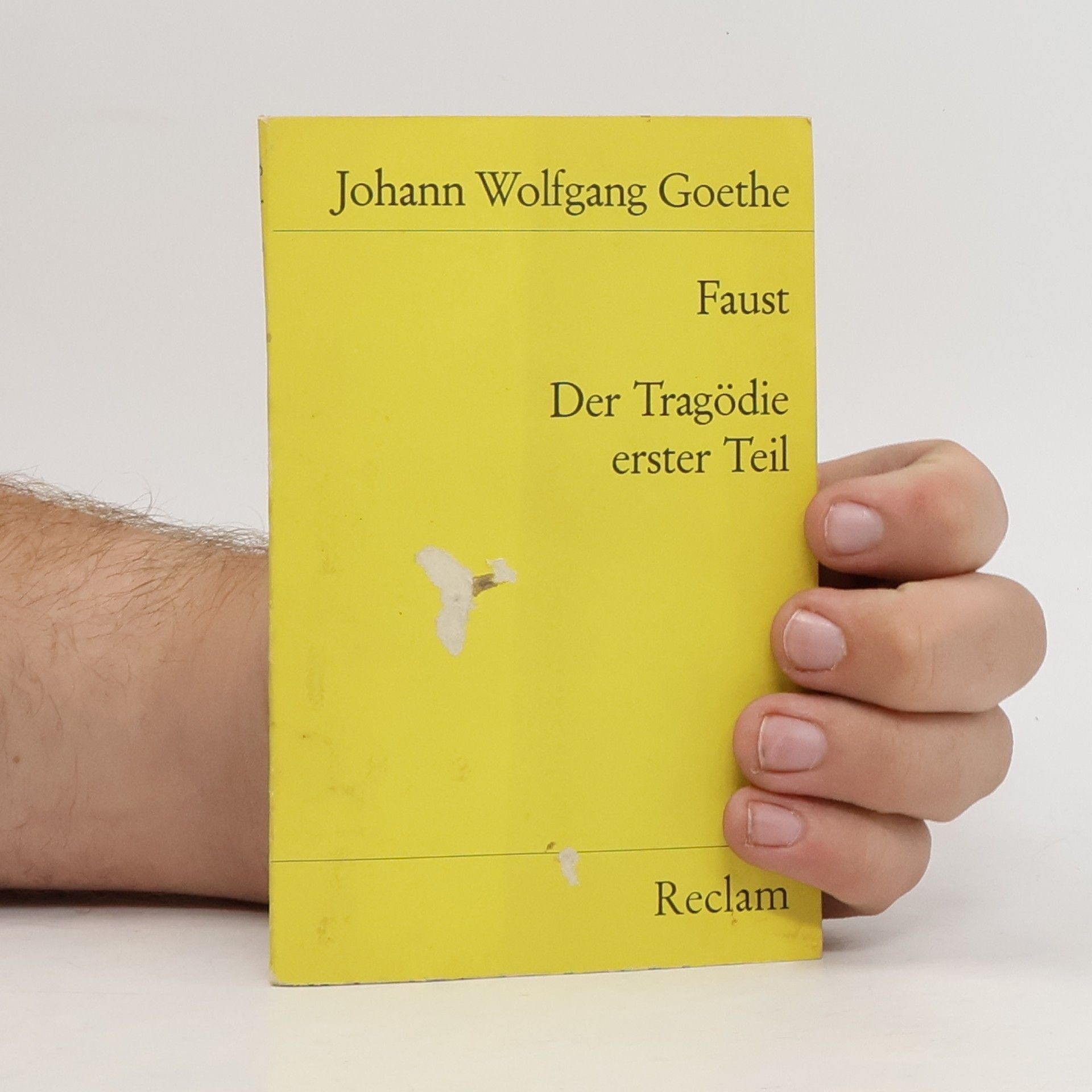 Johann Wolfgang von Goethe Faust : der Tragödie Erster teil