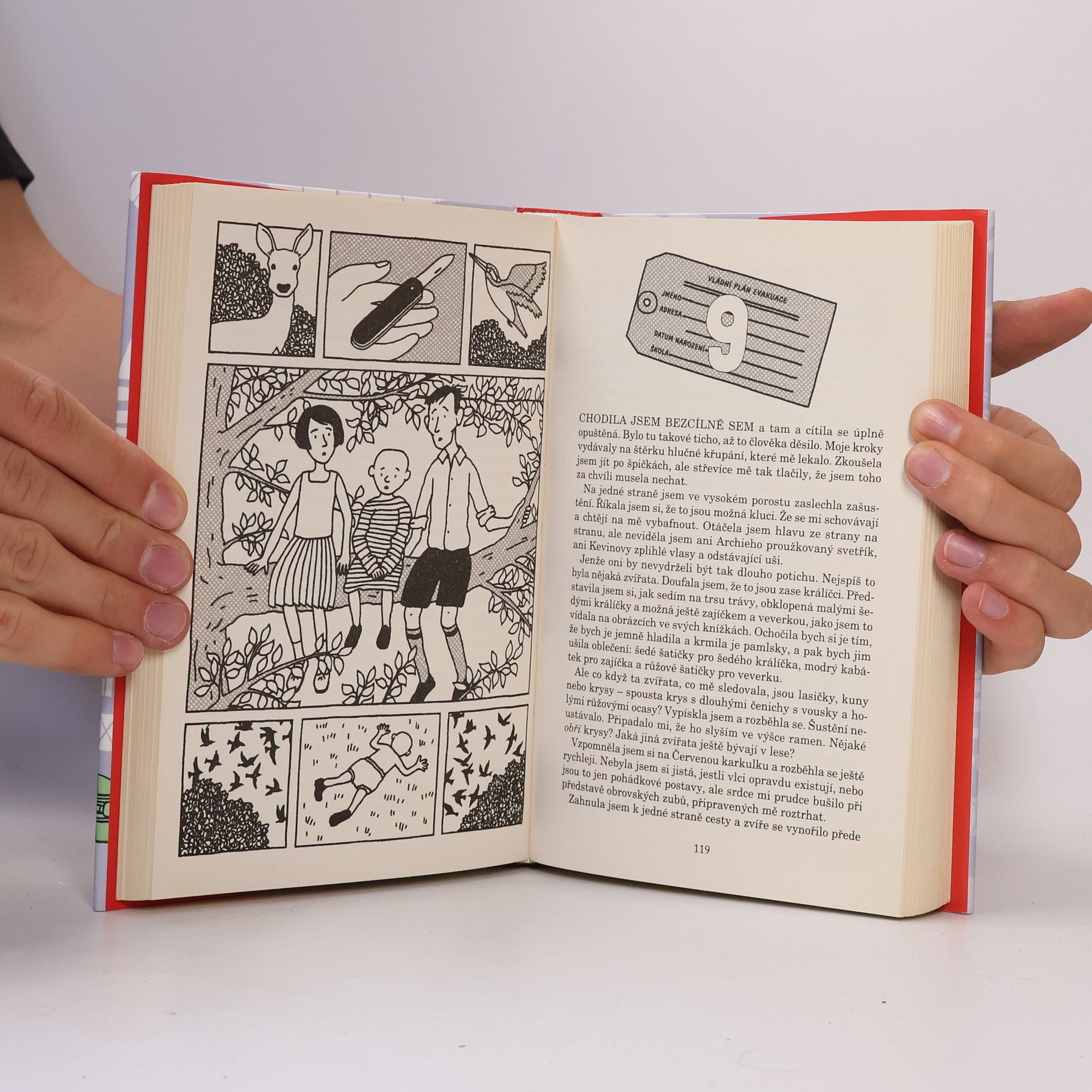 Jacqueline Wilson Nečekané prázdniny