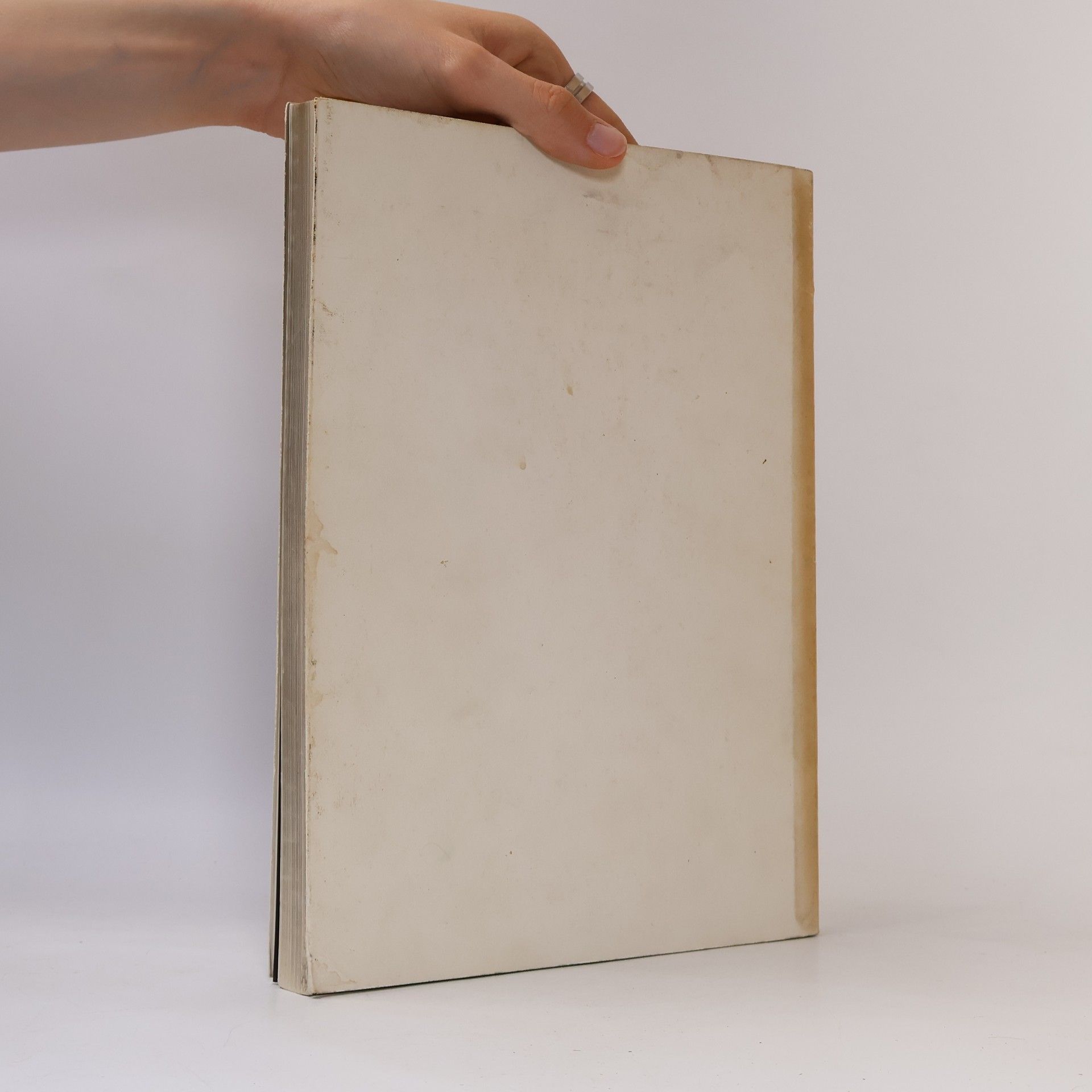 Werner Spies Max Ernst. Bücher und Grafiken