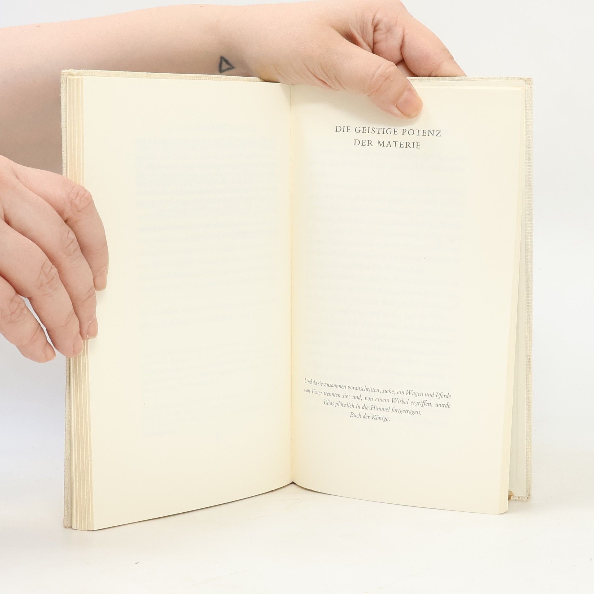 Teilhard de Chardin Lobgesang des Alls