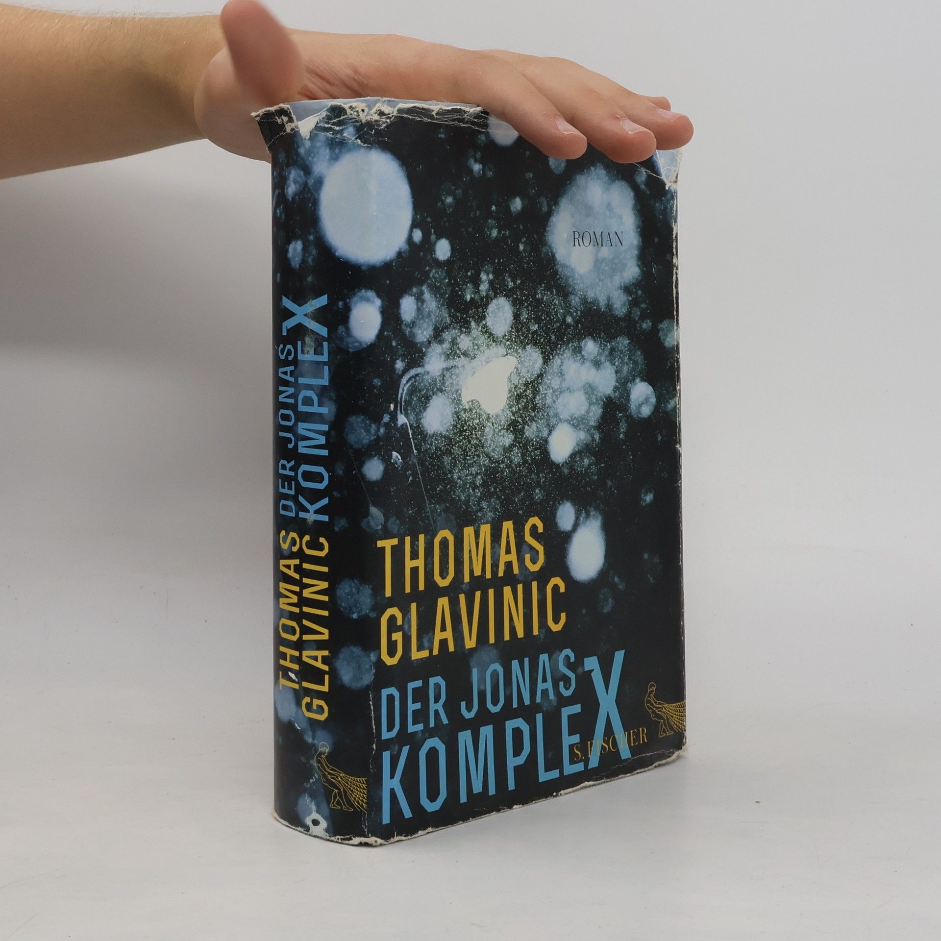 Thomas Glavinic Der Jonas-Komplex