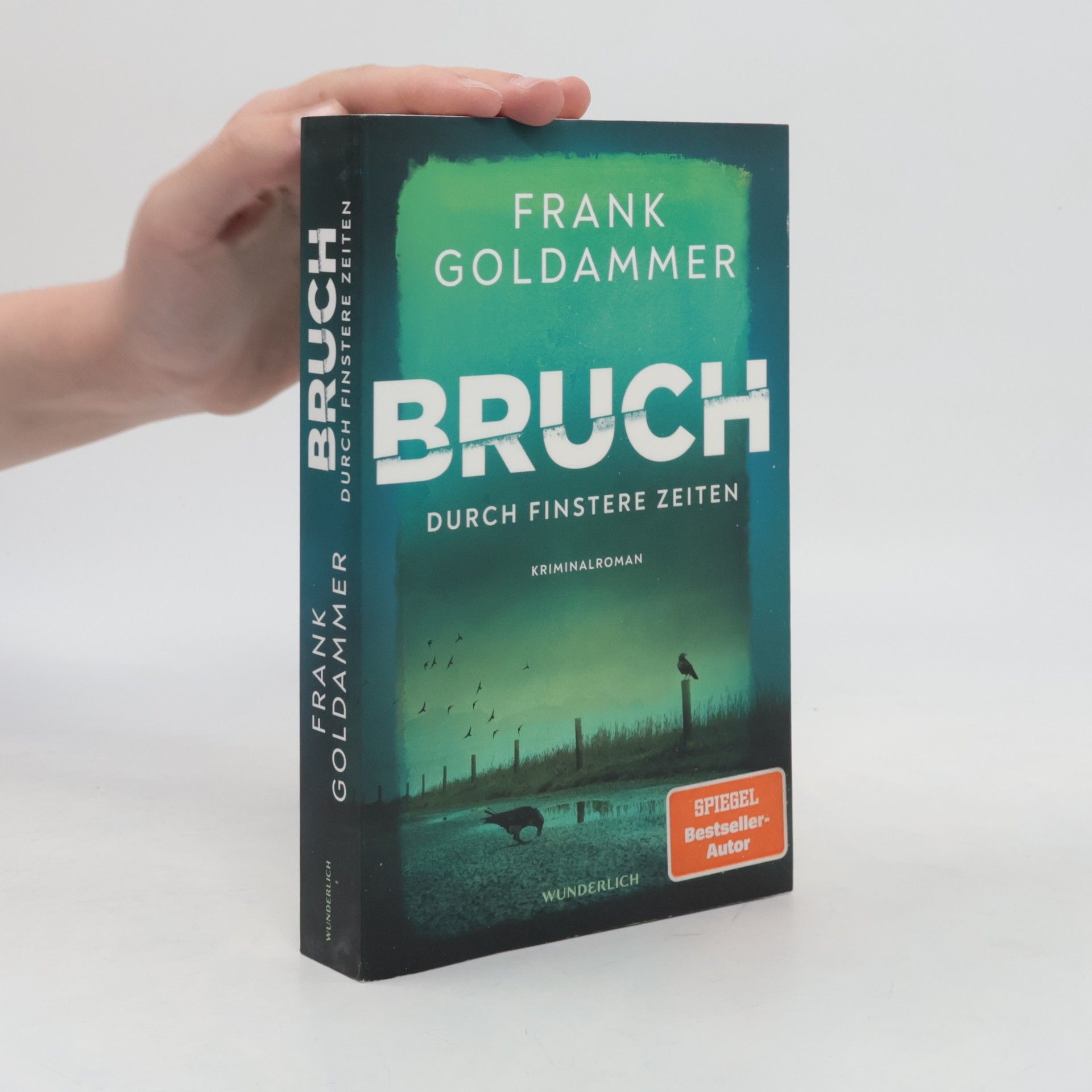 Frank Goldammer Bruch: Durch finstere Zeiten