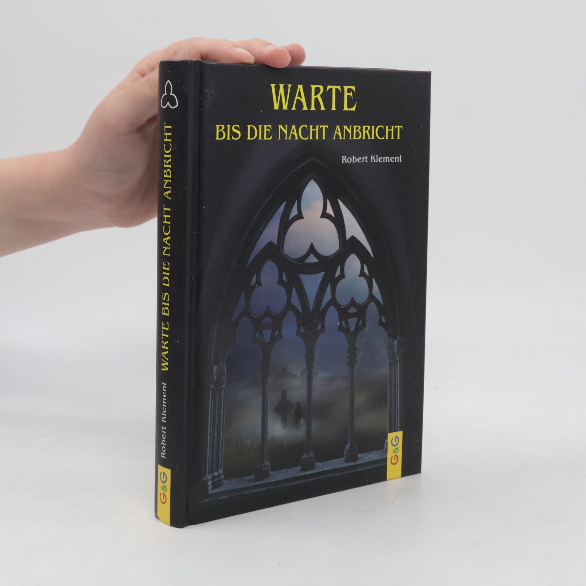 Robert Klement Warte bis die Nacht anbricht