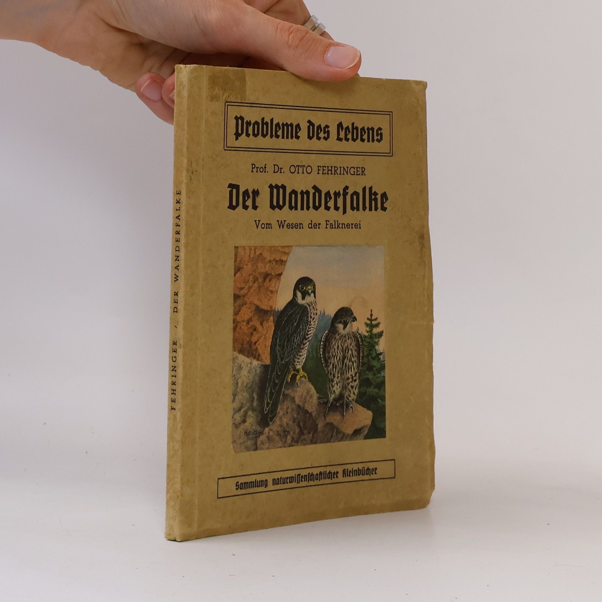 Otto Fehringer Der Wanderfalke. Vom Wesen den Falknerei