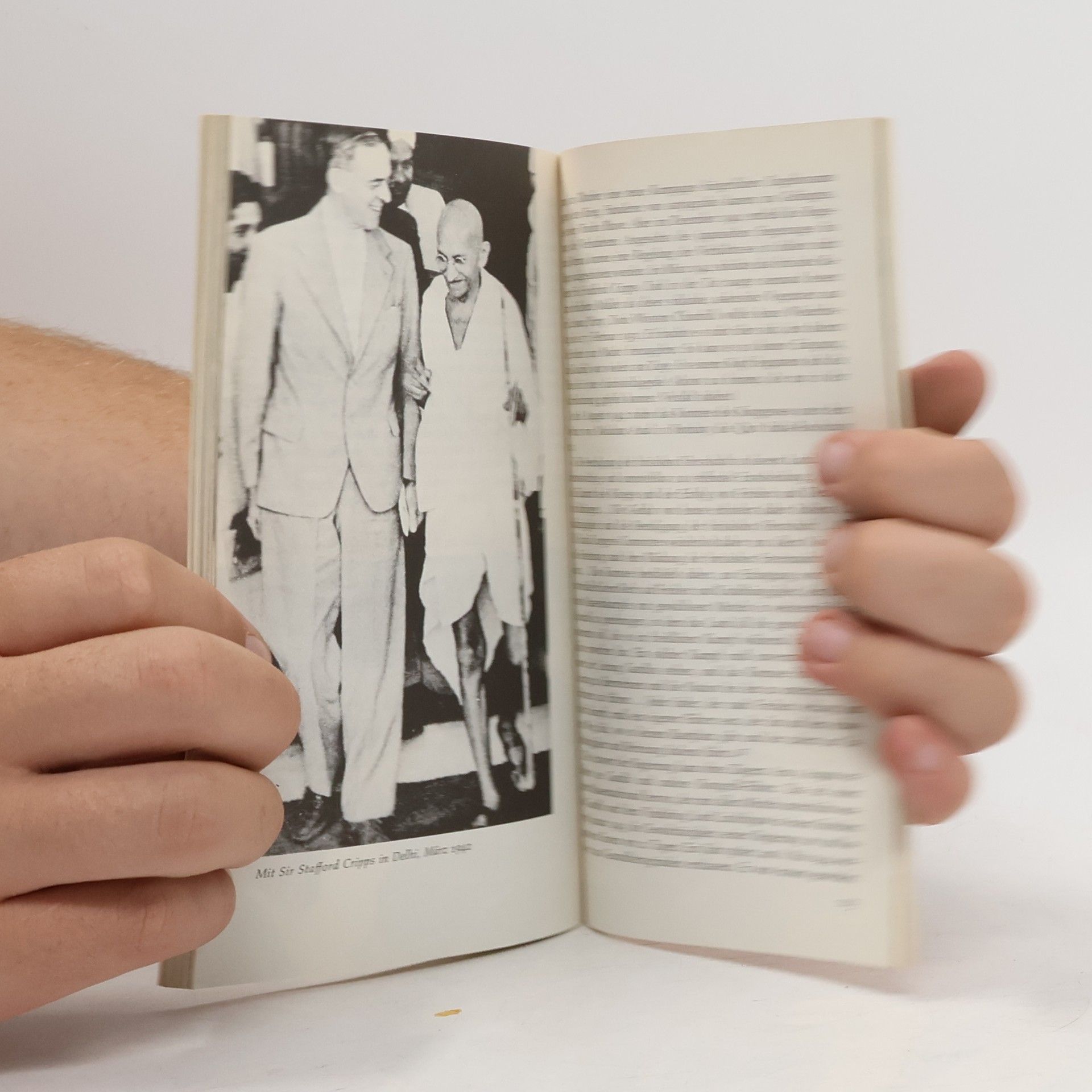 Heimo Rau Mahatma Gandhi mit Selbstzeugnissen und Bilddokumenten