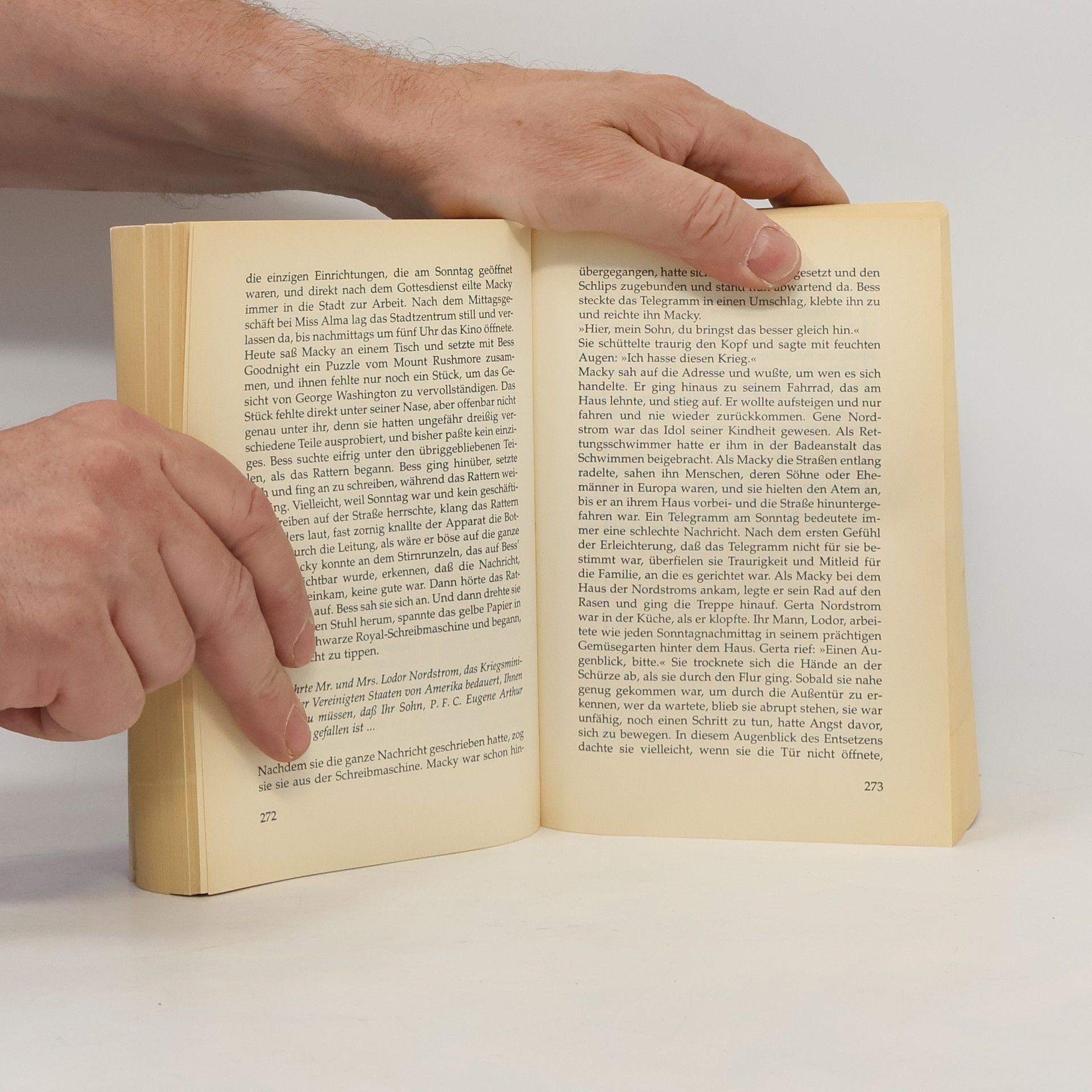Fannie Flagg Die Reise nach Elmwood Springs