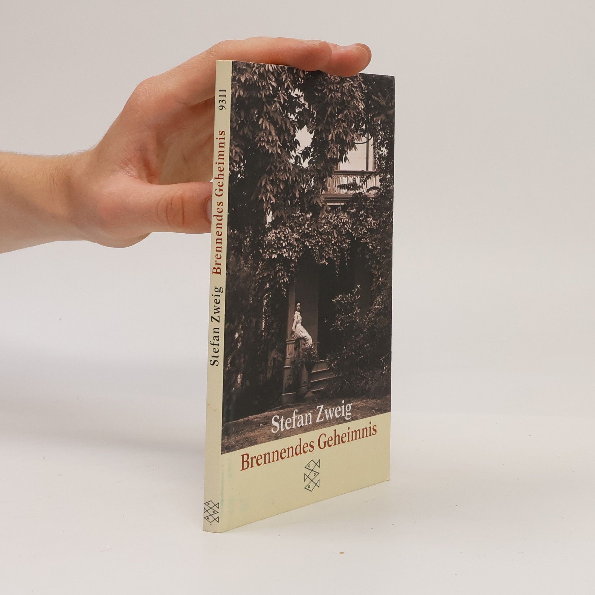 Stefan Zweig Brennendes Geheimnis