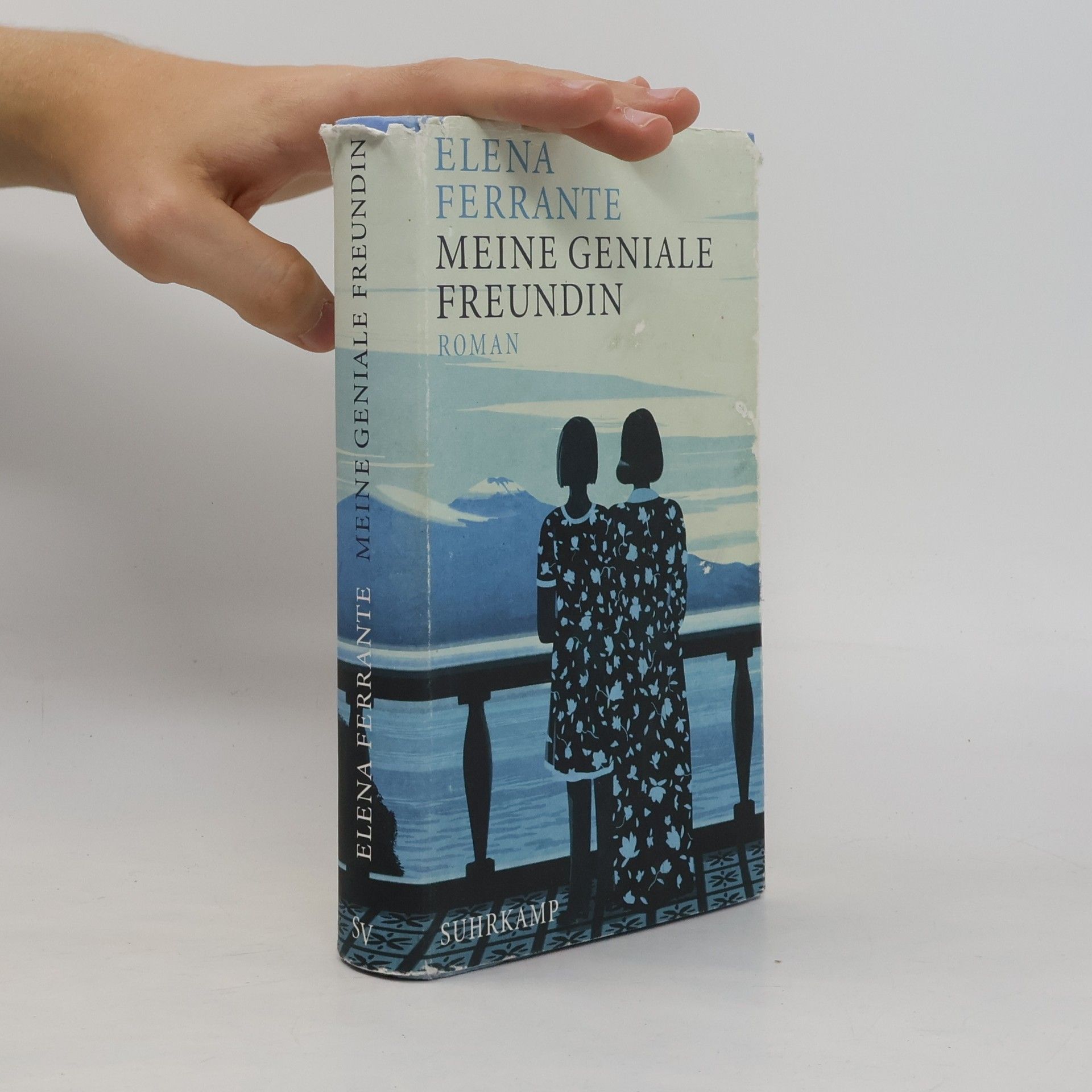 Elena Ferrante Meine geniale Freundin