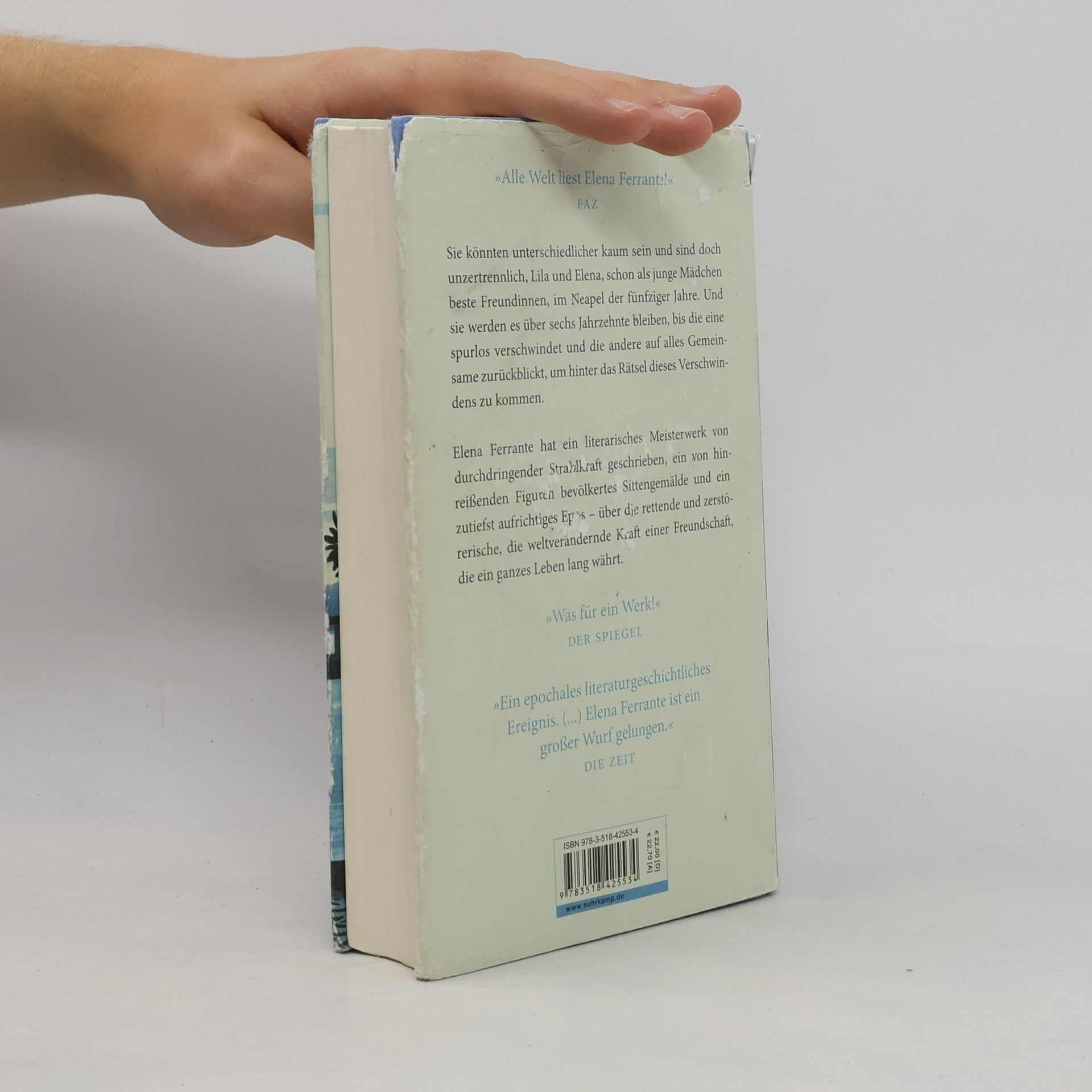 Elena Ferrante Meine geniale Freundin