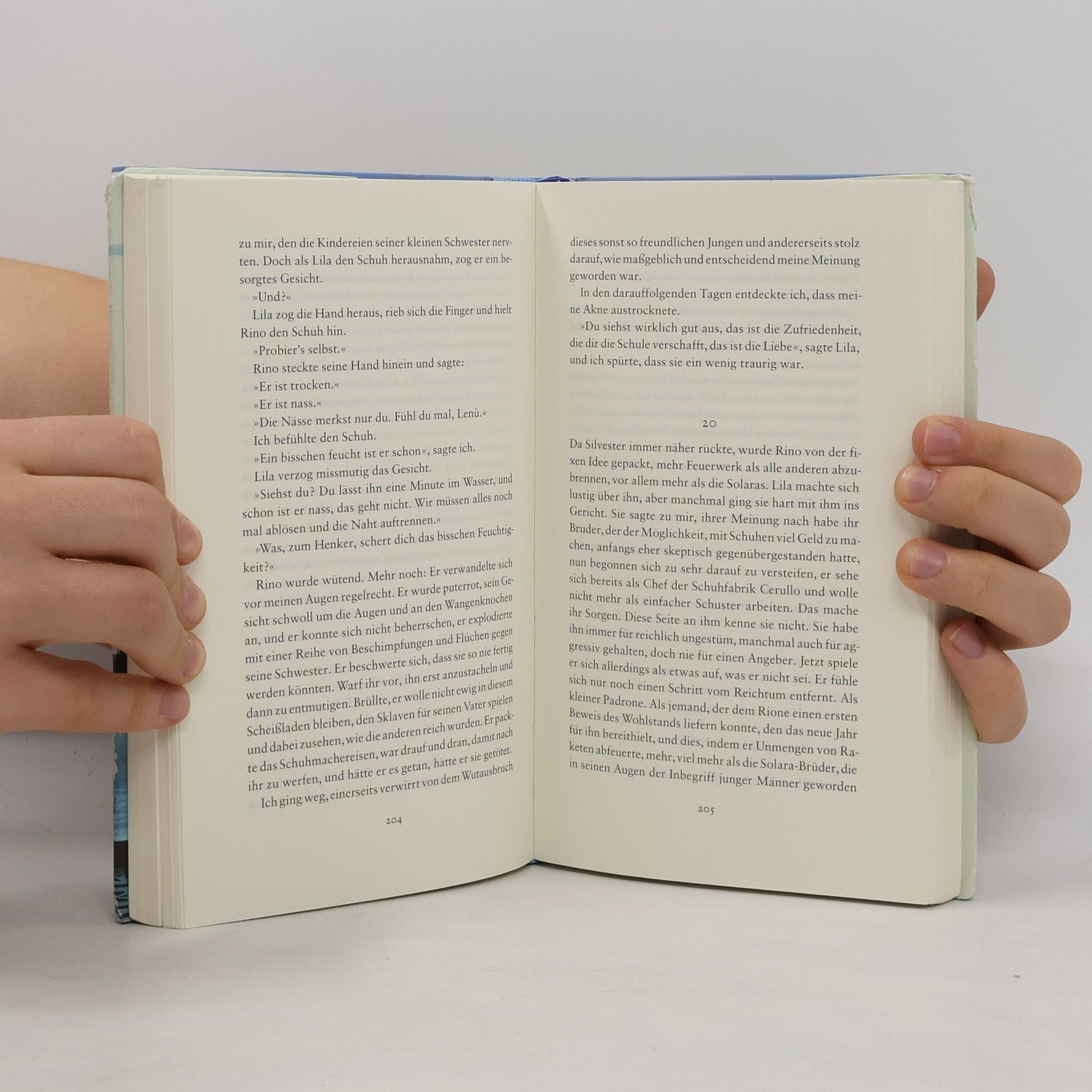 Elena Ferrante Meine geniale Freundin