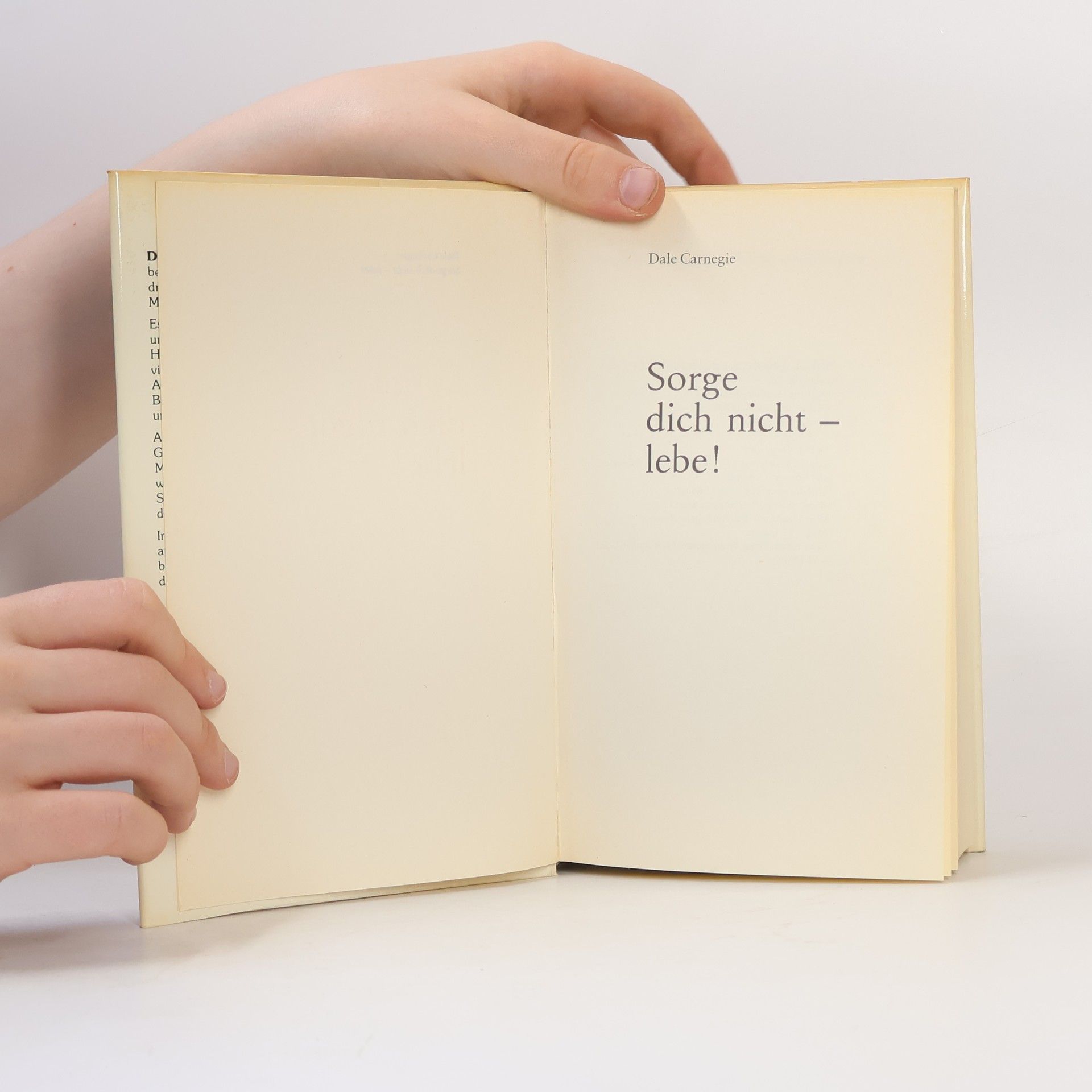 Dale Carnegie Sorge dich nicht - lebe!