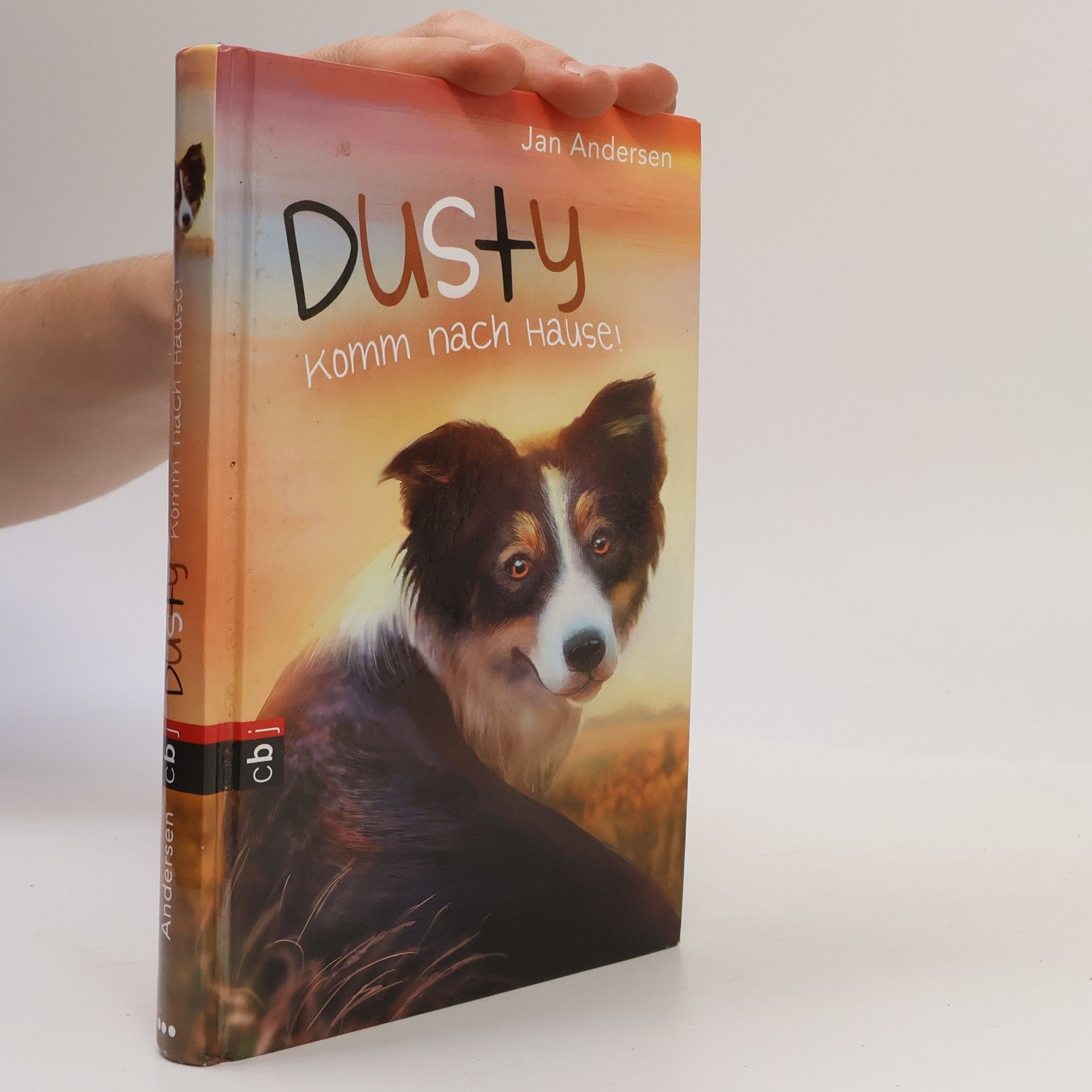 Wolfram Hänel Dusty - komm nach Hause!
