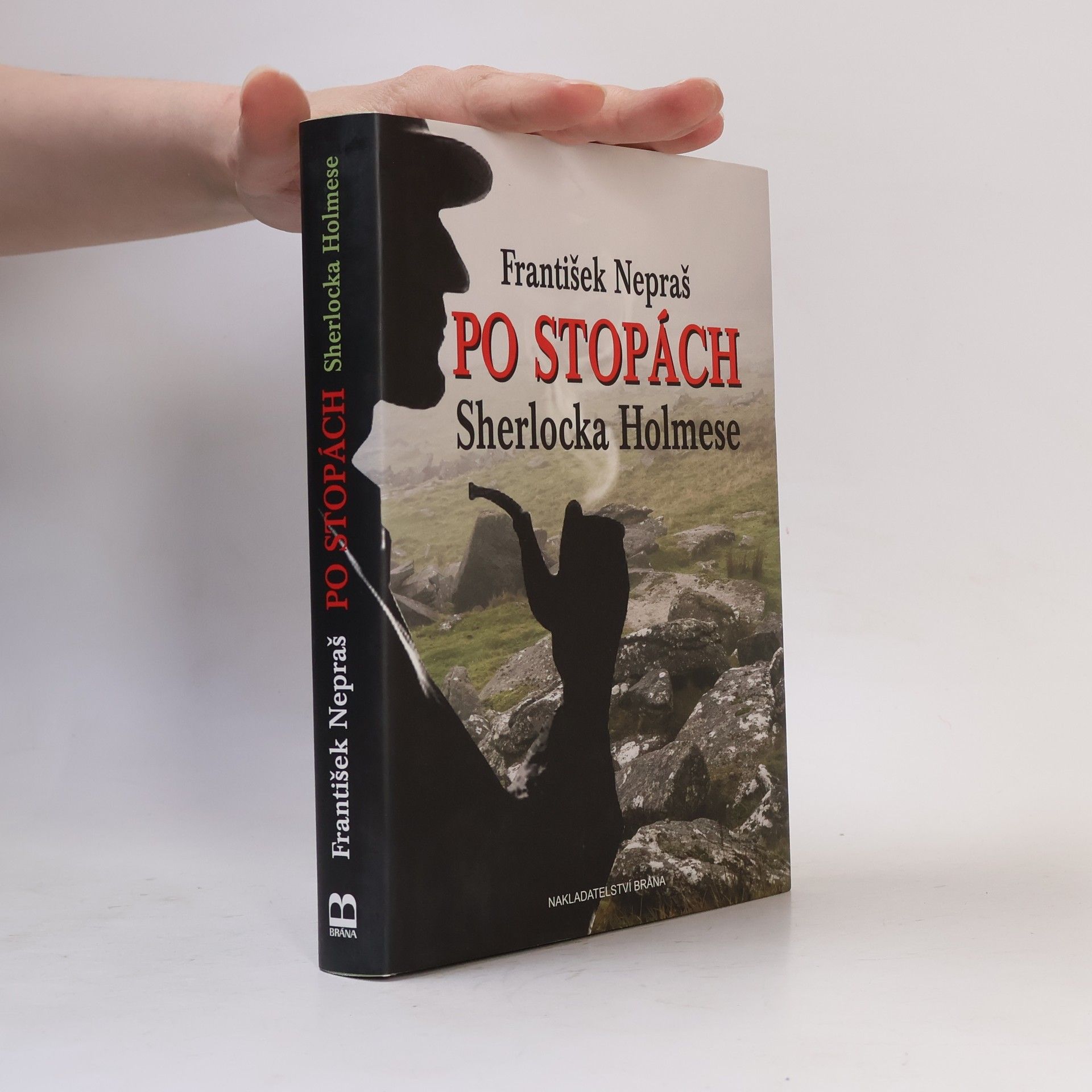 Po stopách Sherlocka Holmese: Dartmoorskými blaty za Psem baskervillským