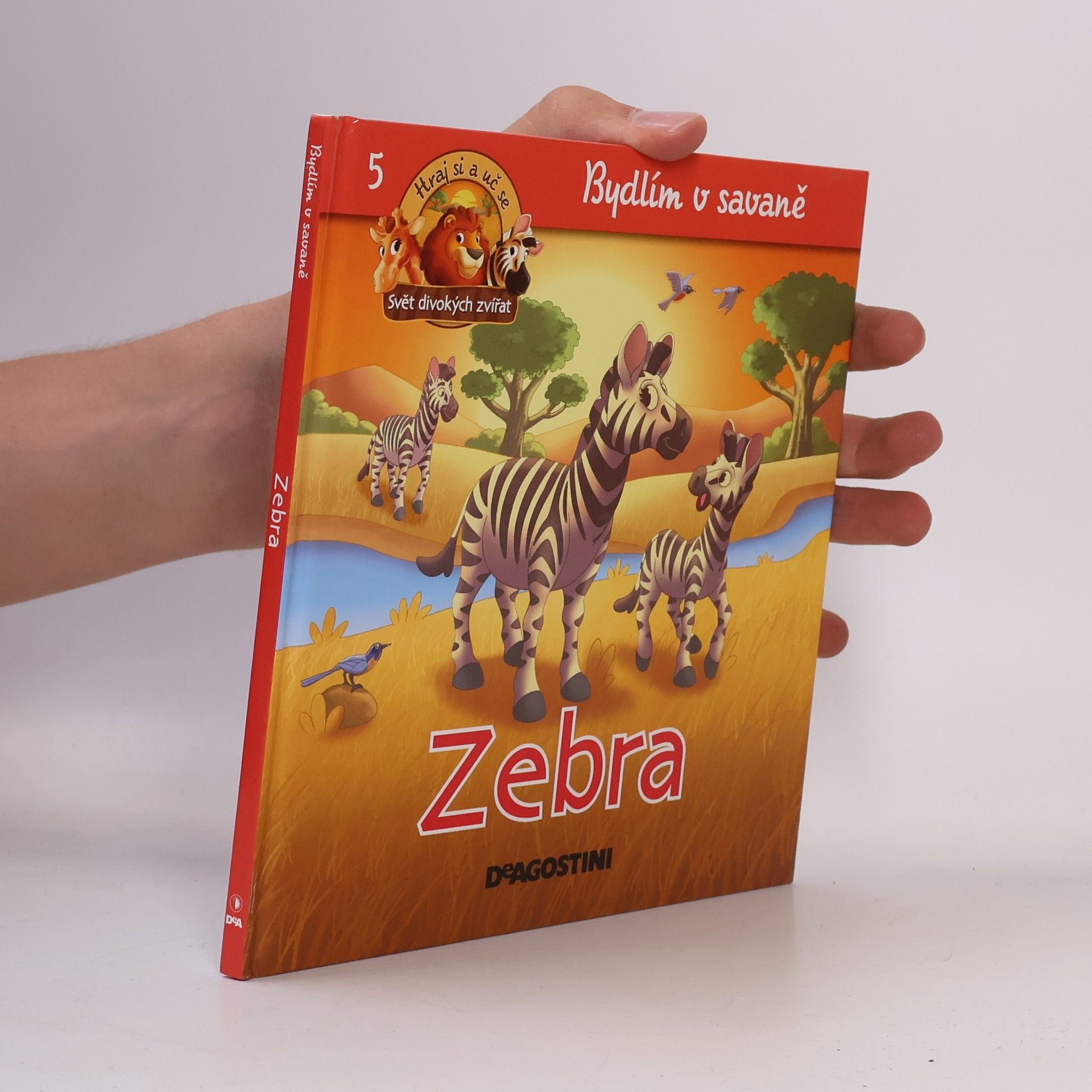 Autorenkollektiv Bydlím v savaně 5. Zebra