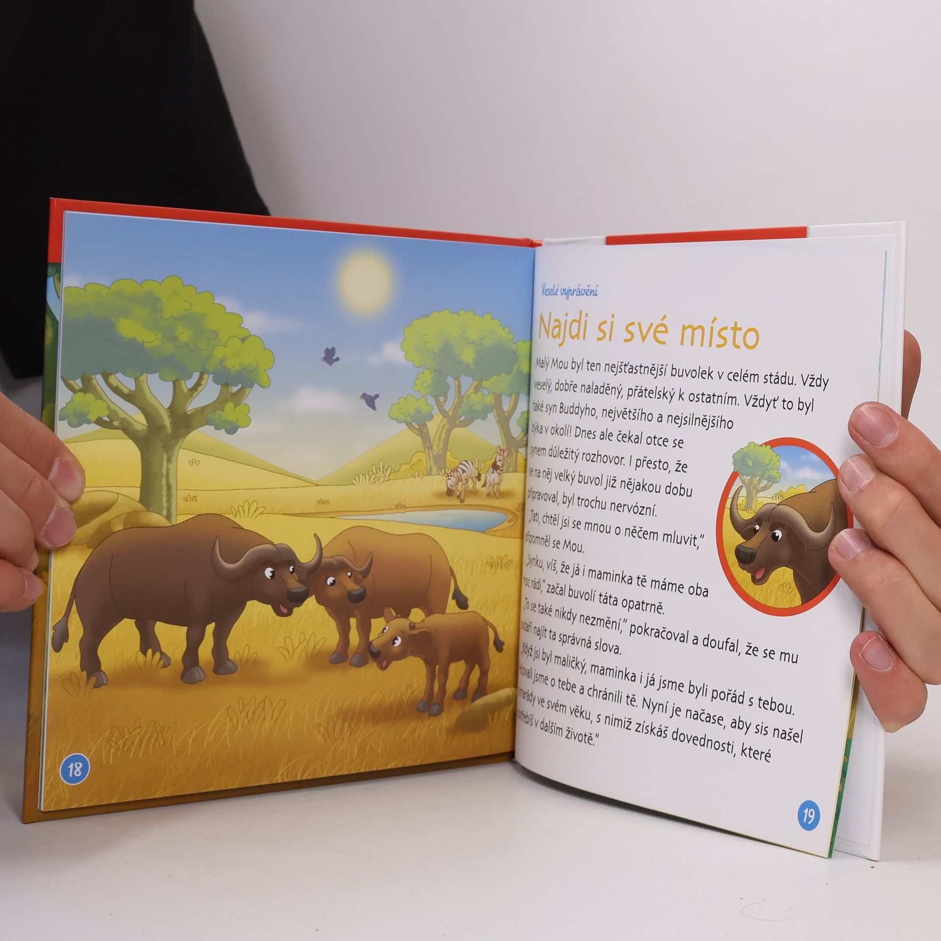 Autorenkollektiv Bydlím v savaně 14. Buvol