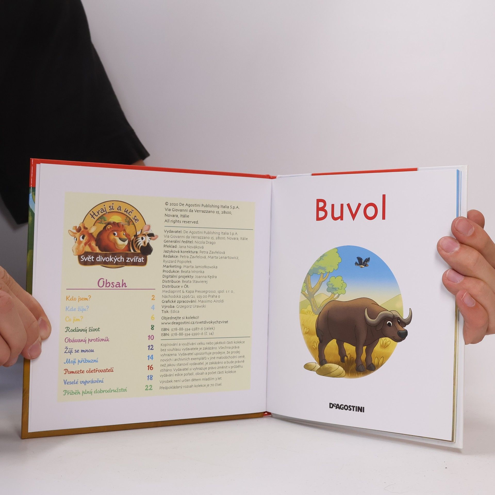 Autorenkollektiv Bydlím v savaně 14. Buvol