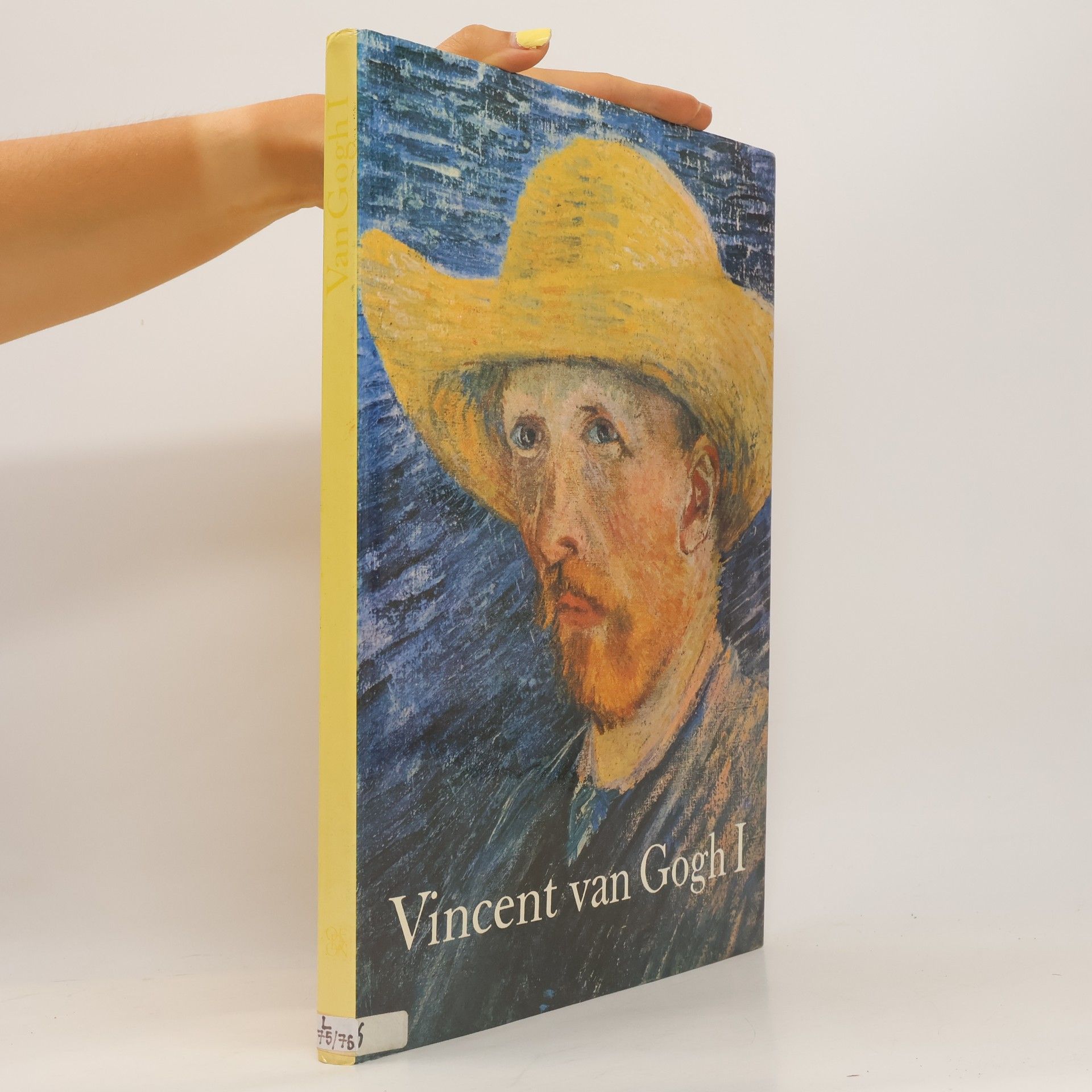 Paolo Lecaldano Vincent van Gogh I