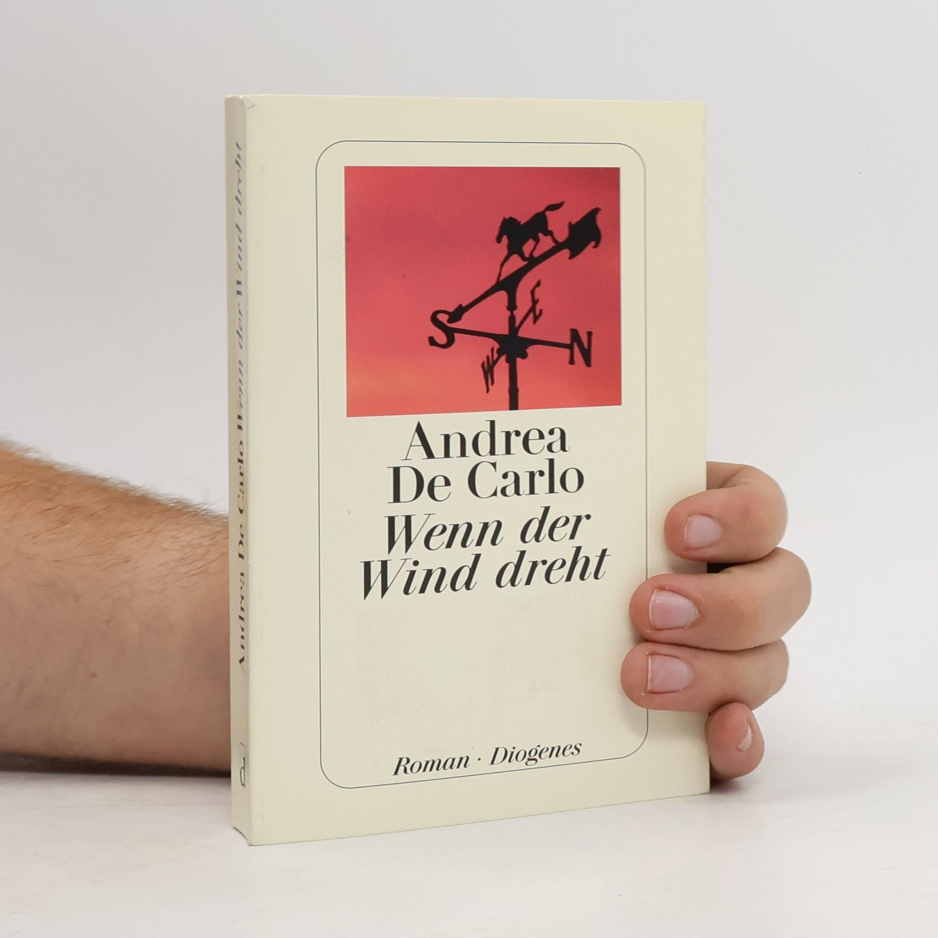 Andrea De Carlo Wenn der Wind dreht