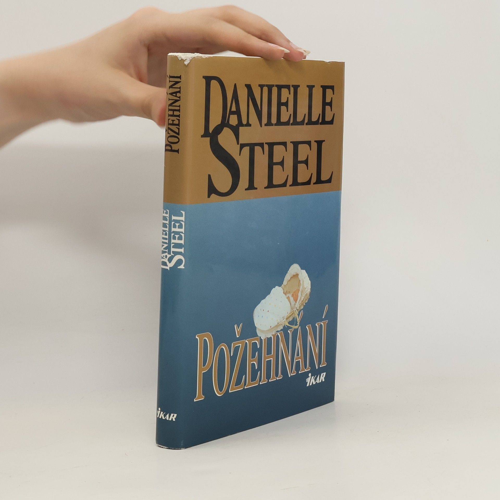 Danielle Steel Požehnání