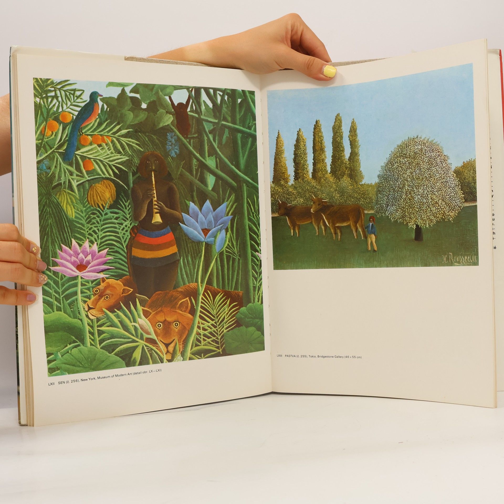 Giovanni Artieri Henri Rousseau