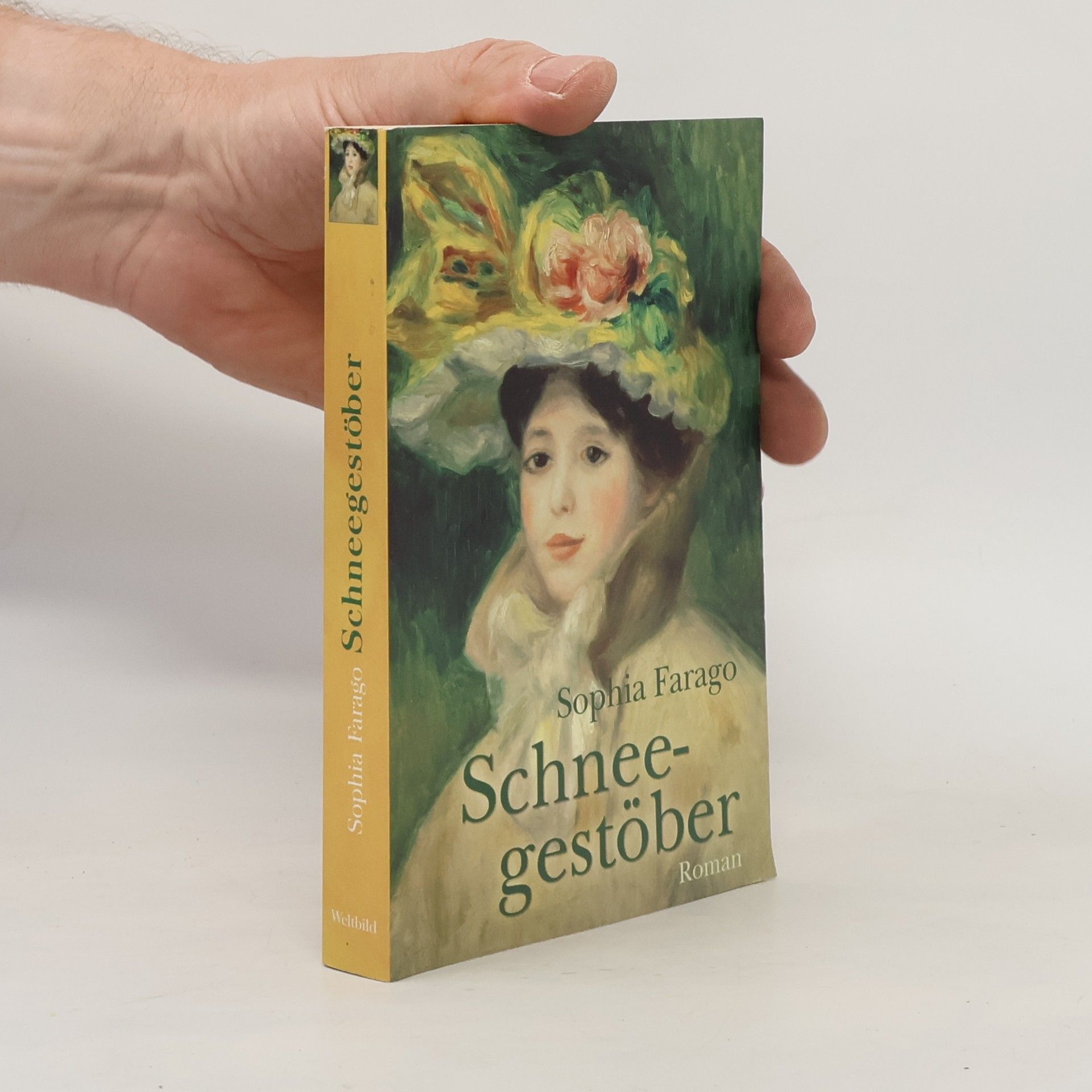 Schneegestöber