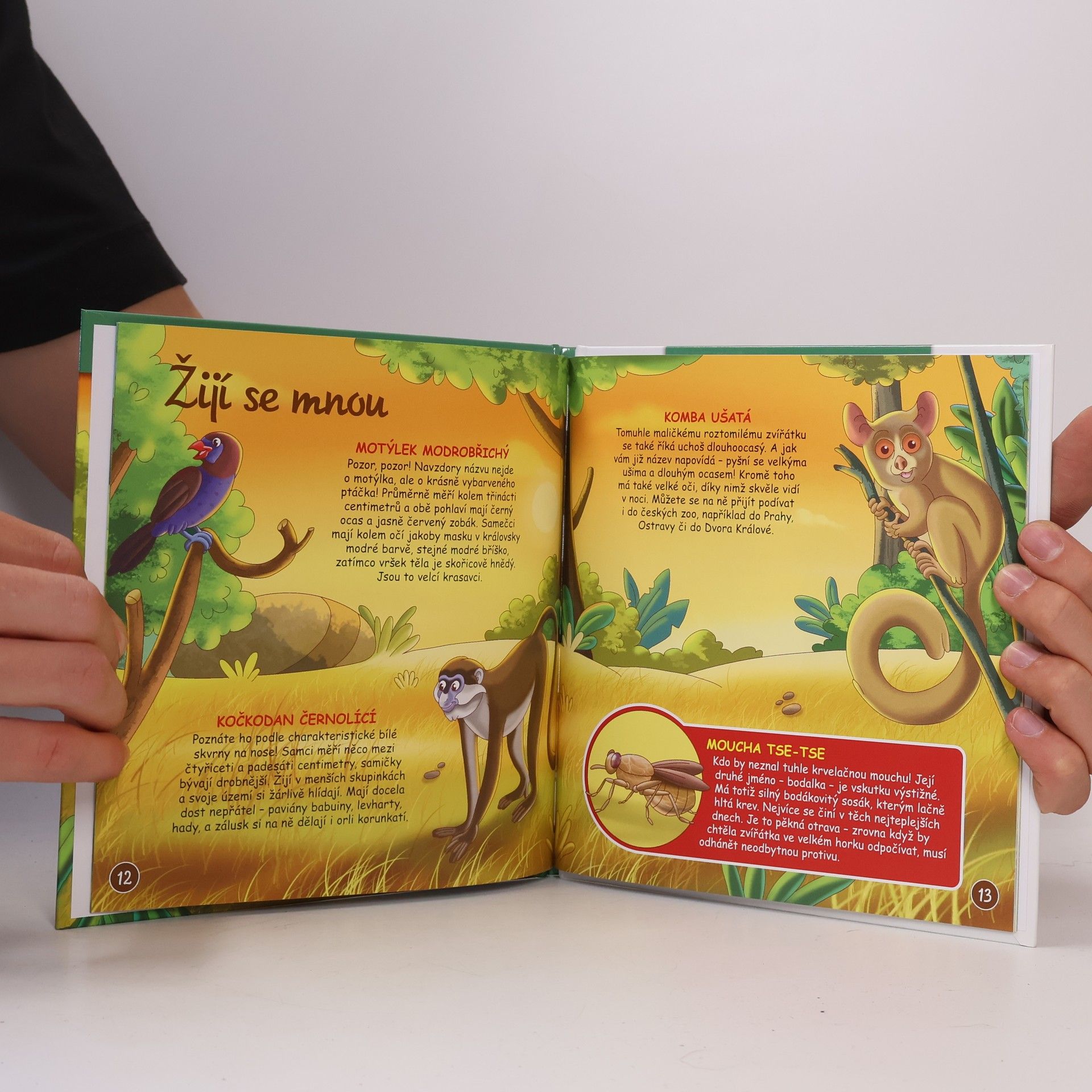 Kolektiv autorů Bydlím v lese 47. Pavián