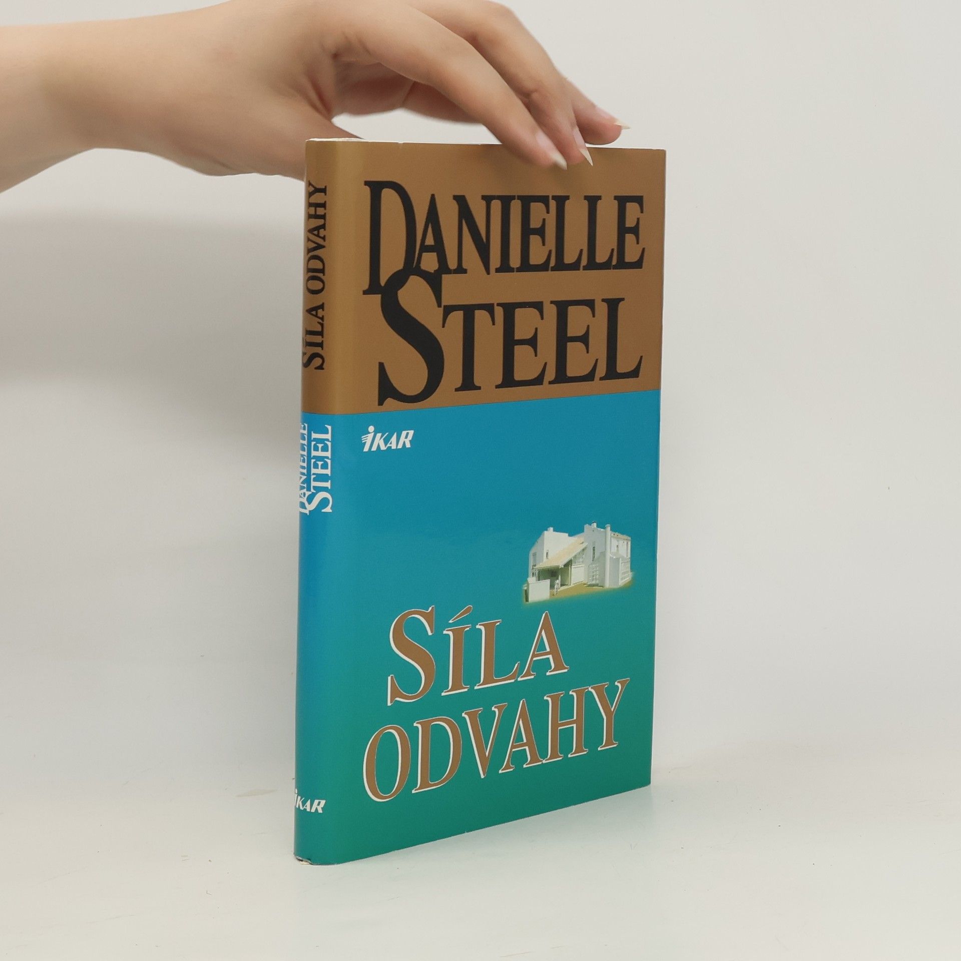 Danielle Steel Síla odvahy