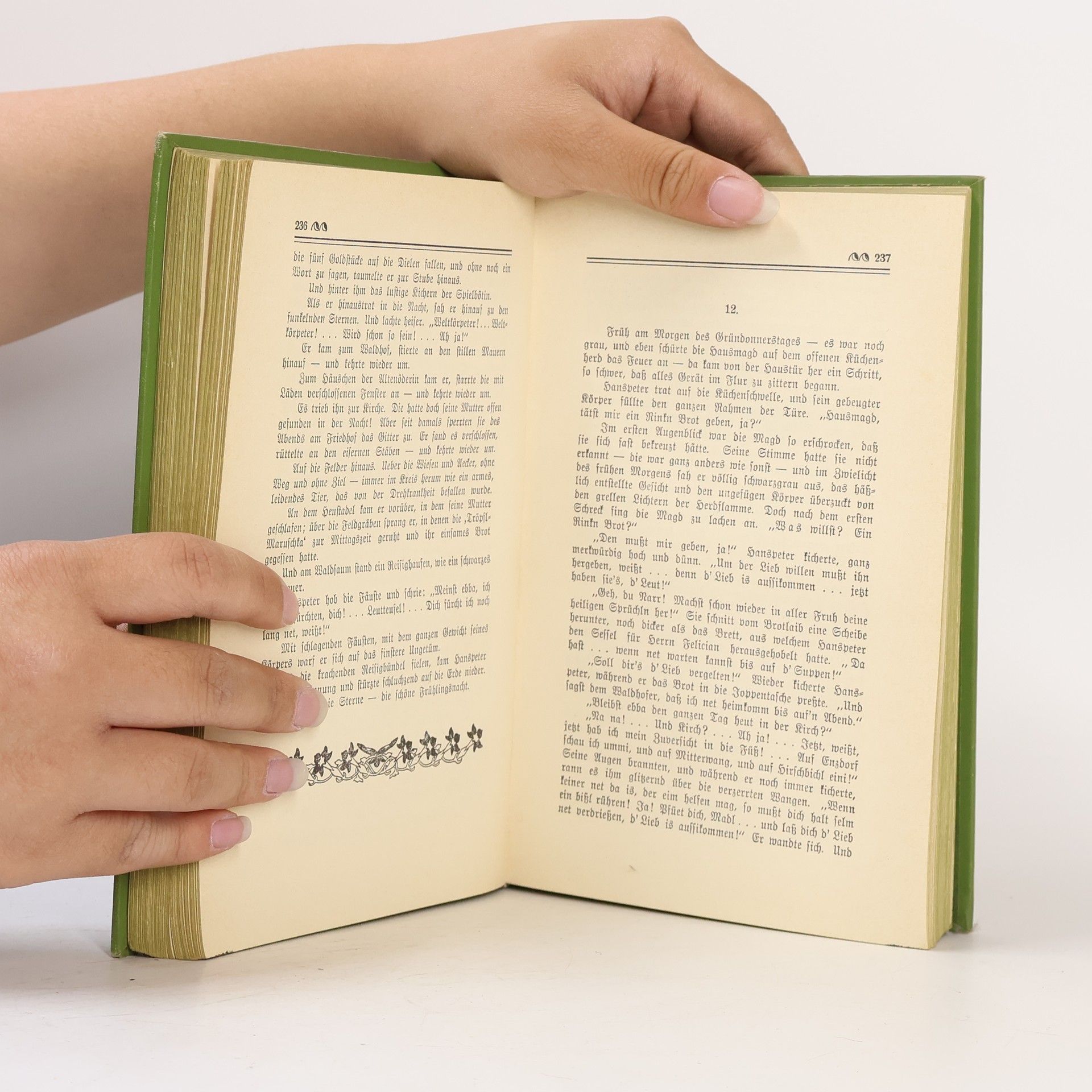 Ludwig Ganghofer Gesammelte Schriften. Zweite Serie. Band 5 & 6