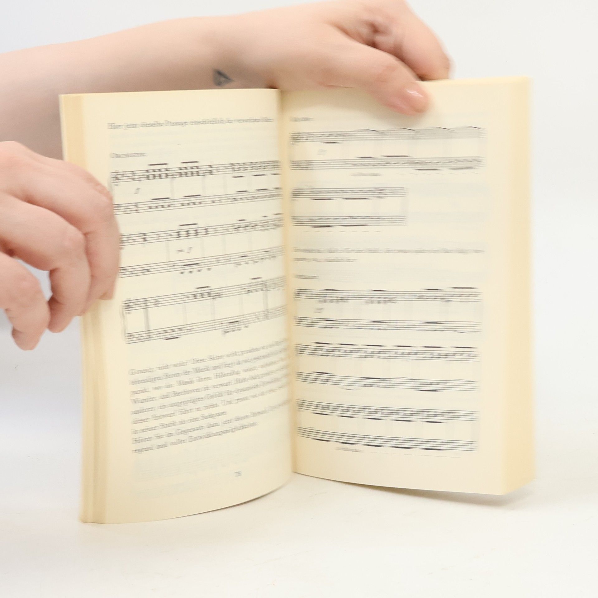 Leonard Bernstein Freude an der Musik