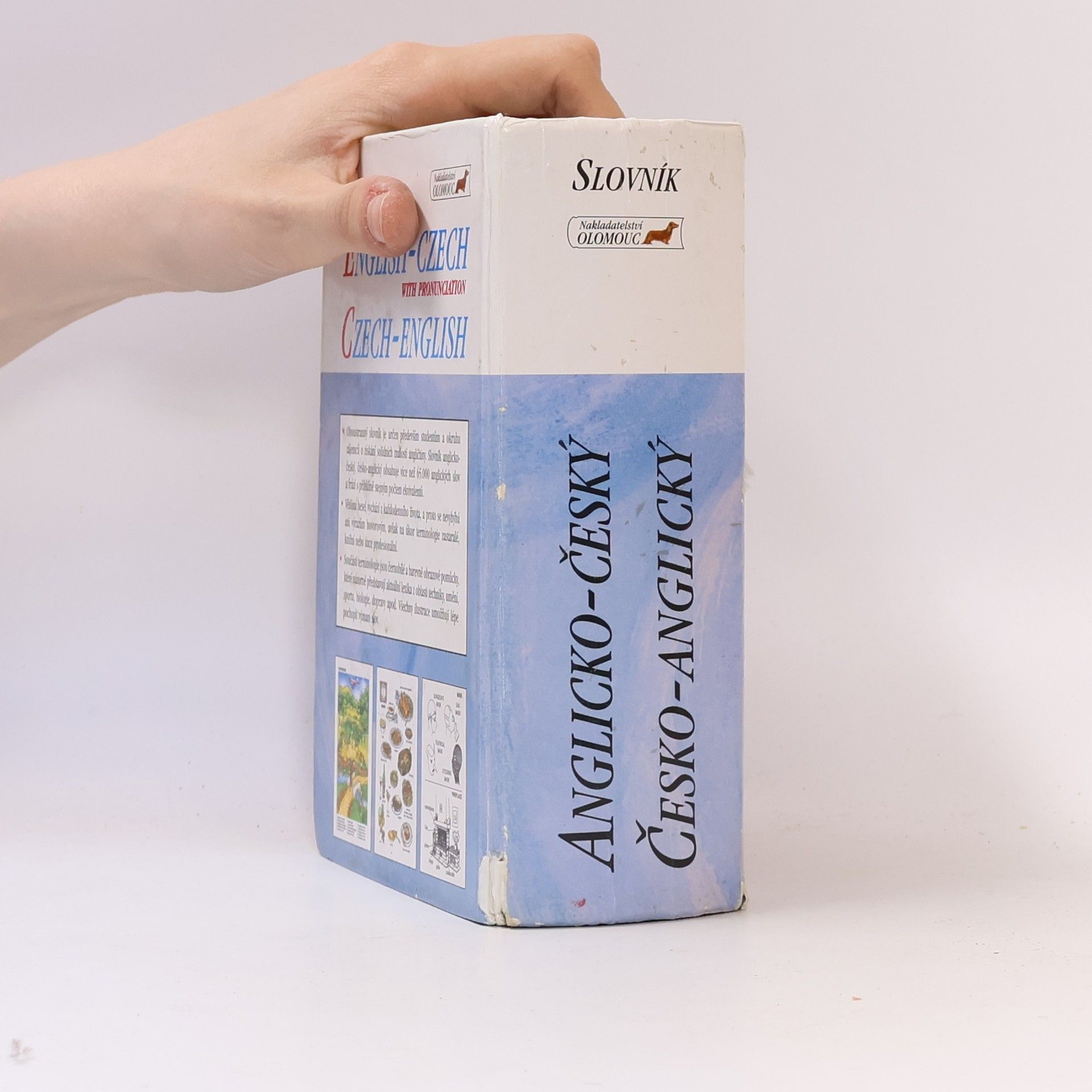 Autorenkollektiv Slovník anglicko-český s výslovností a česko-anglický