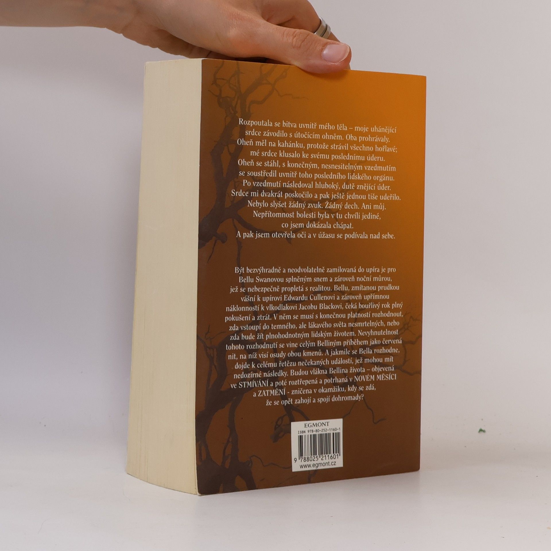 Stephenie Meyer Rozbřesk