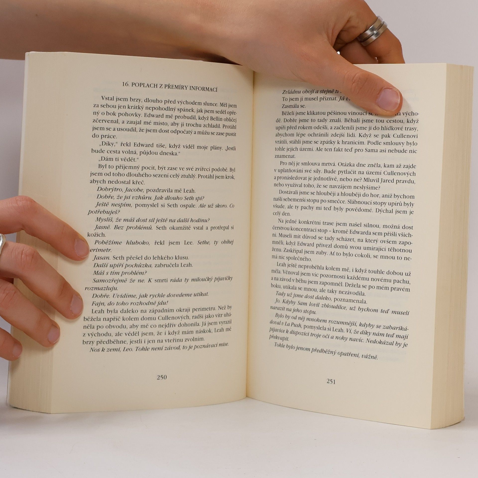 Stephenie Meyer Rozbřesk
